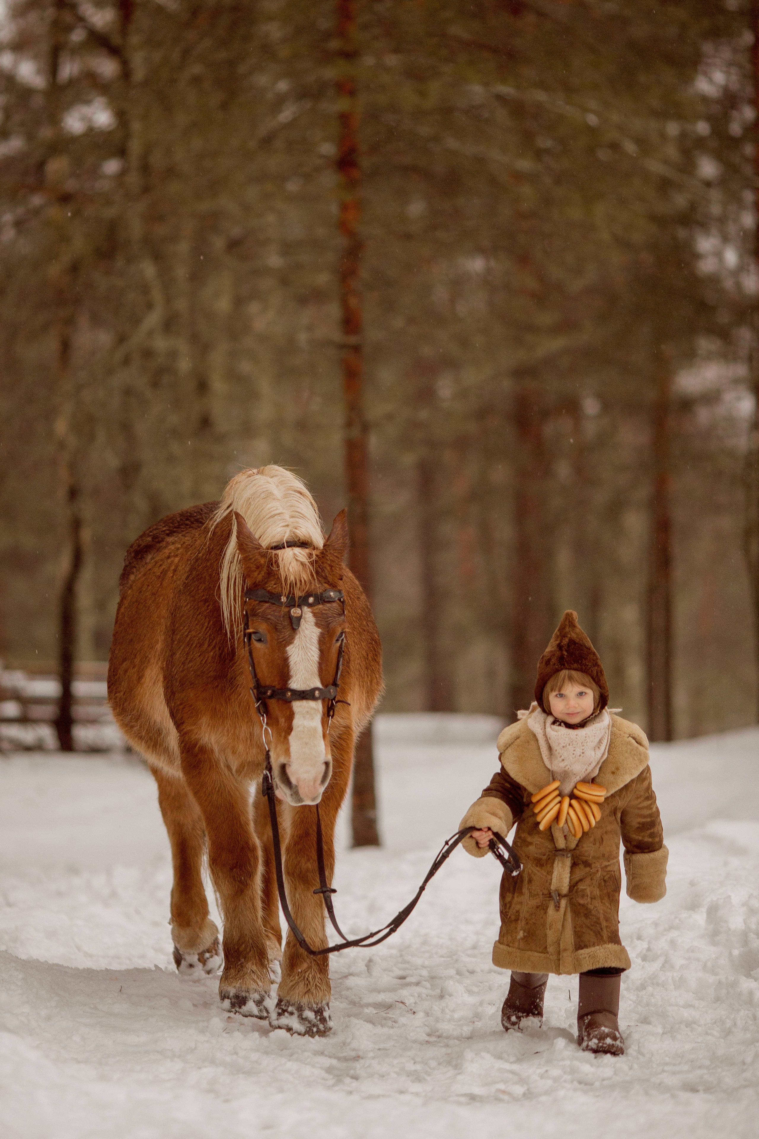 Фото мальчика и лошади зимой