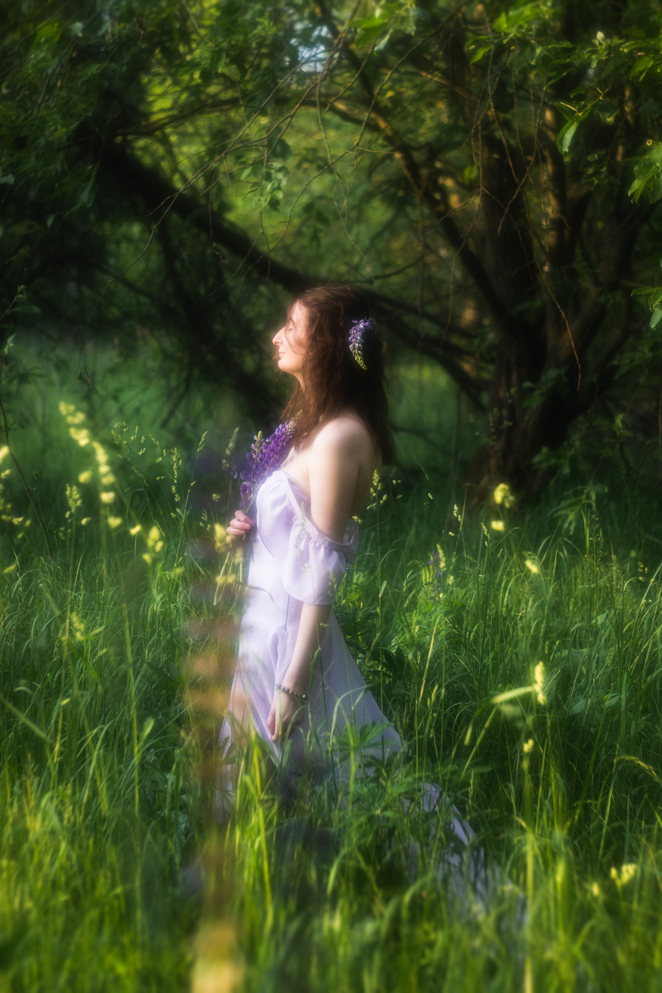 Люпиновое поле. Юлия Башкатова, сказочный фотограф, Москва