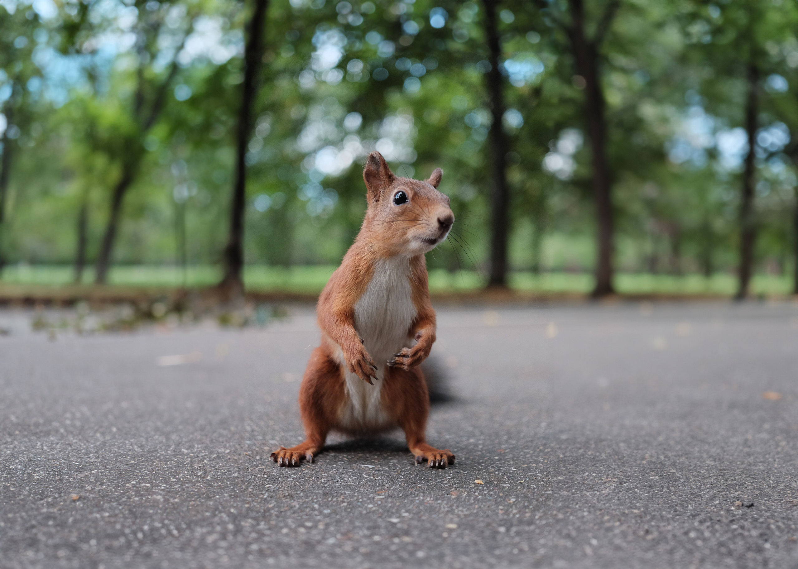 Nature. Шевцов Данила — семейный фотограф