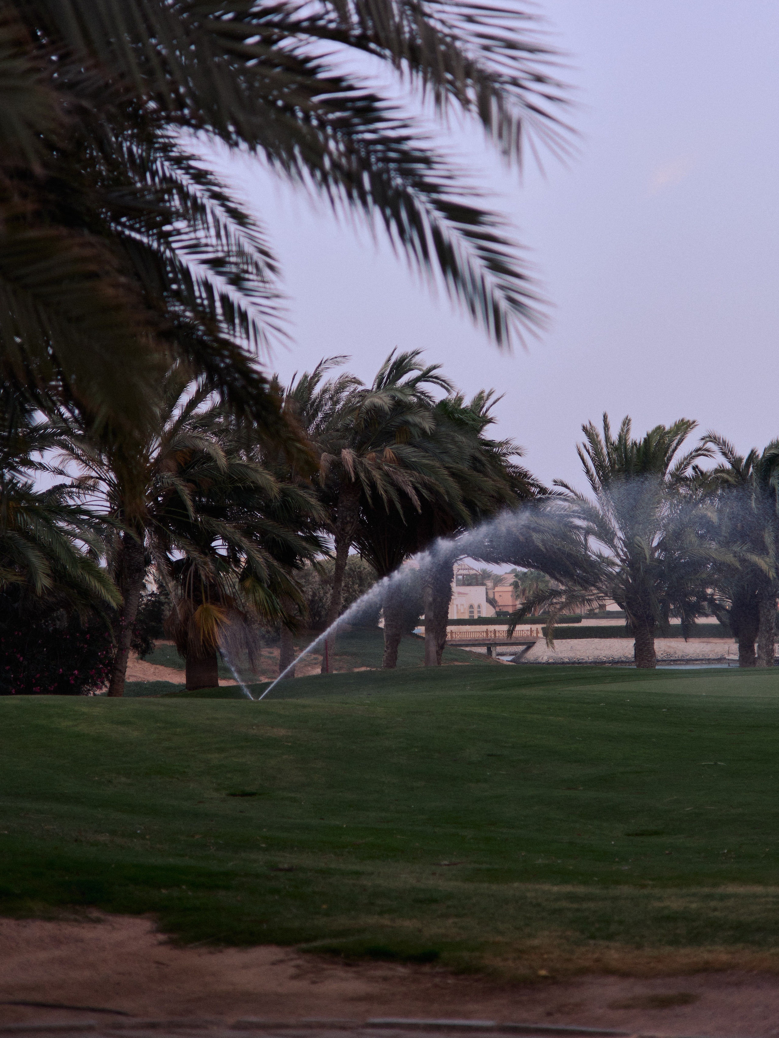 Другое 2. Jorgis Talè — photographer, kind person, teacher of arts and other mag