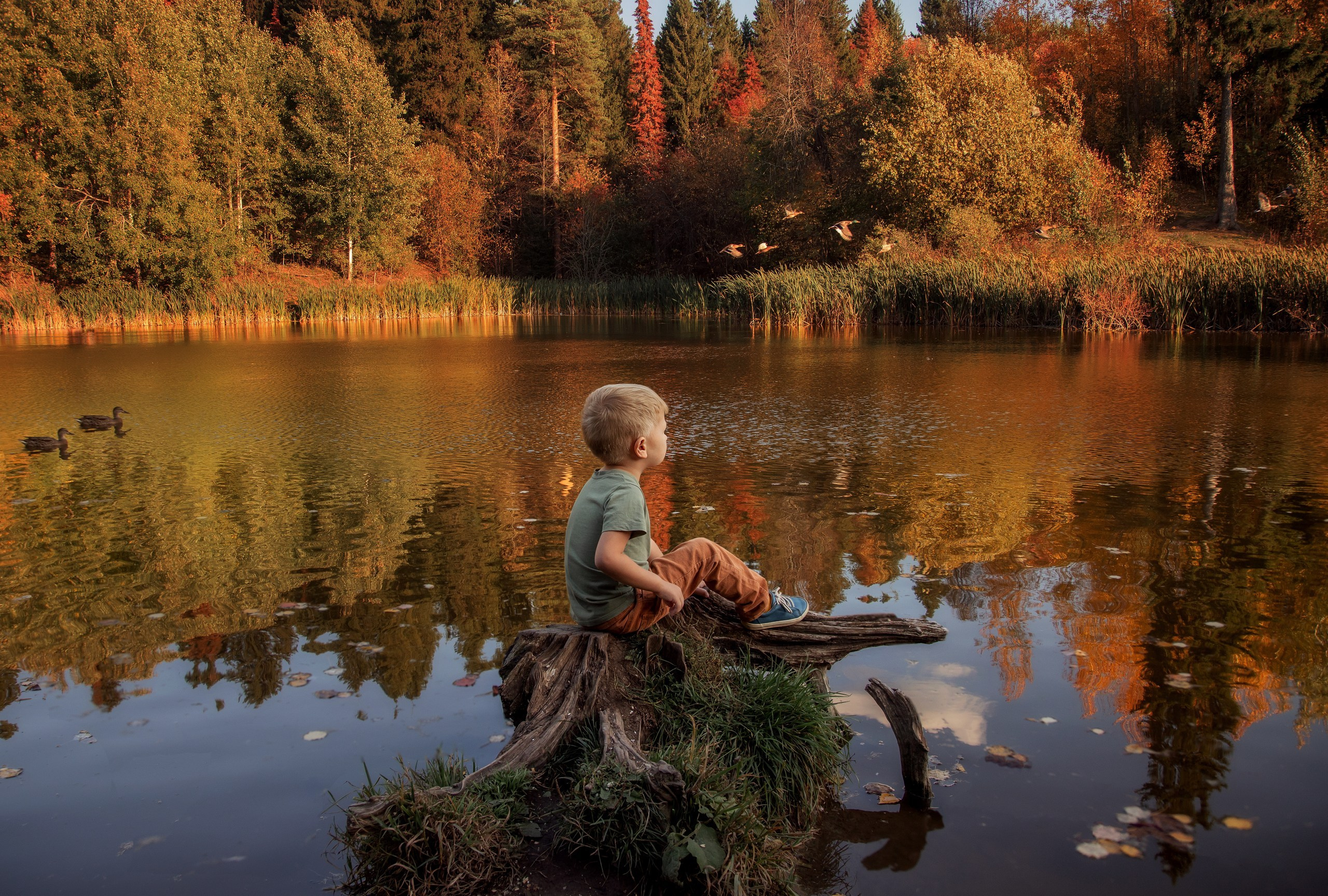Семьи. Детский и семейный фотограф, Катерина Дементьева. Город Пермь