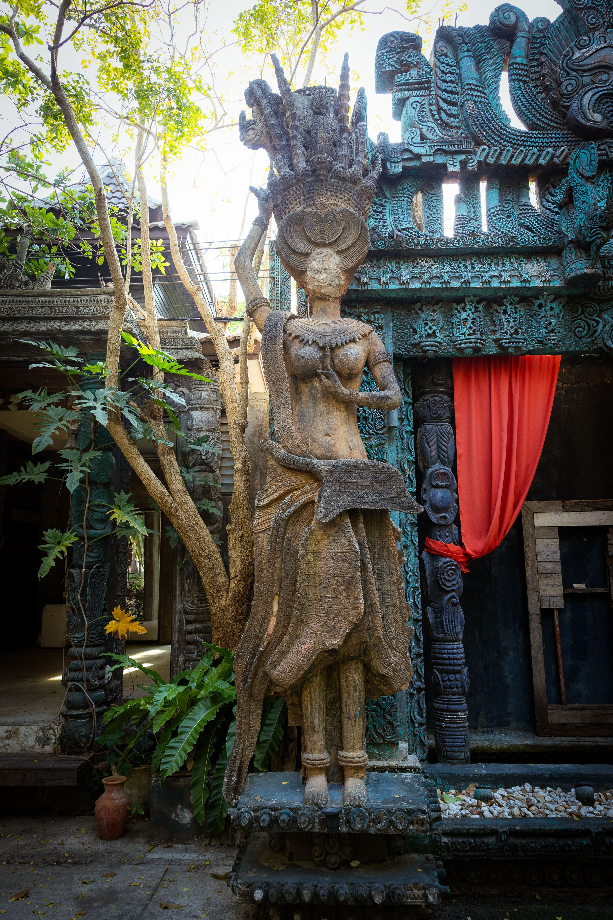 Таиланд (зима 2025). Фотограф Виноградов Константин