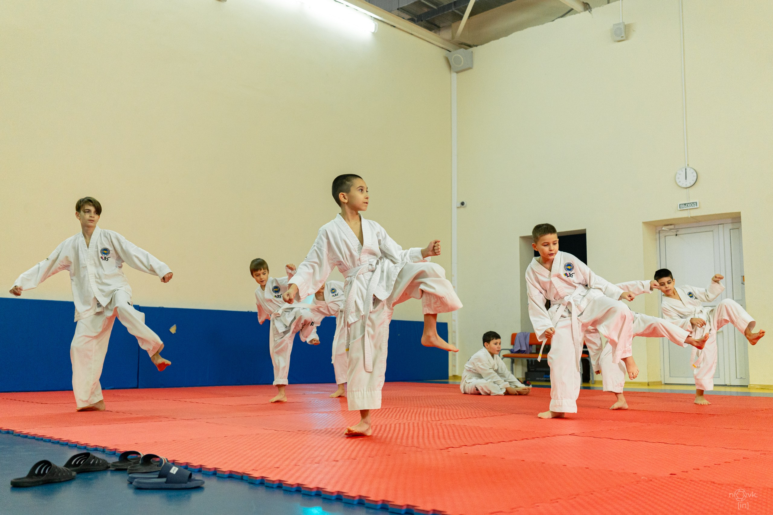 Аттестация Тхэкво. ФОТОГРАФ ИВАН НОВИКОВ | СТАВРОПОЛЬ