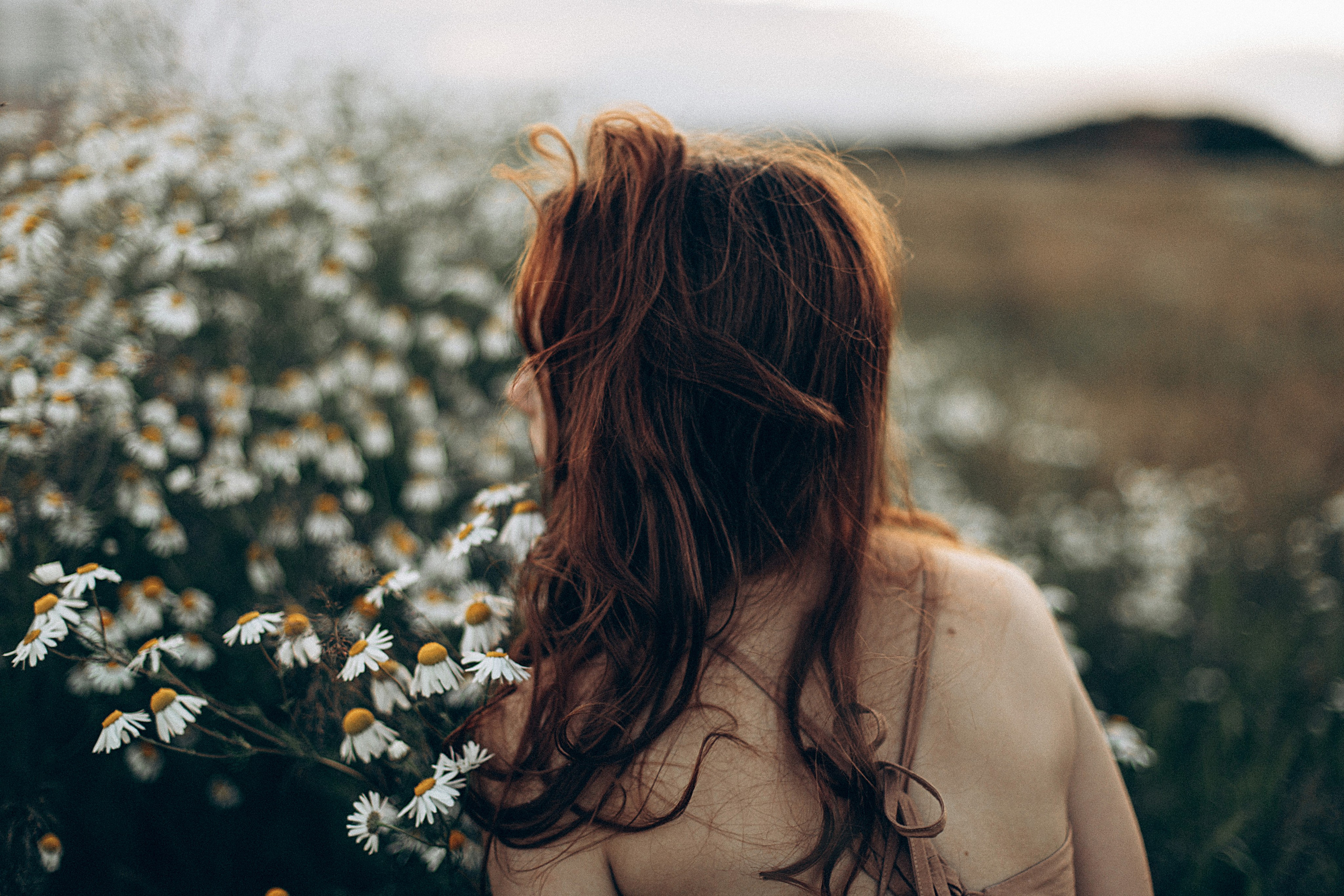 Ромашки. Репортажный и детский фотограф в Минске