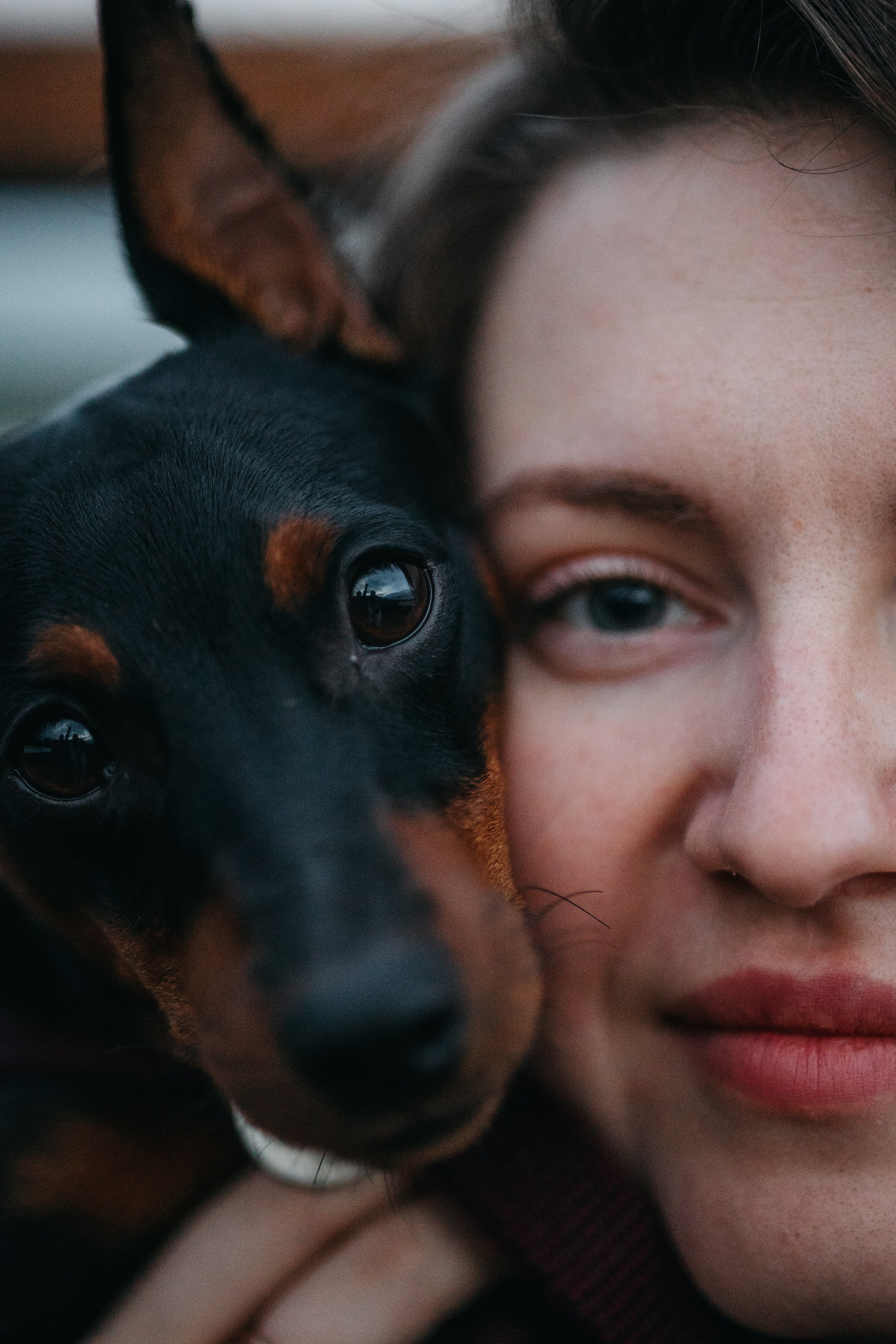 Сириус и его семья. Фотограф — Анималист | Санкт-Петербург