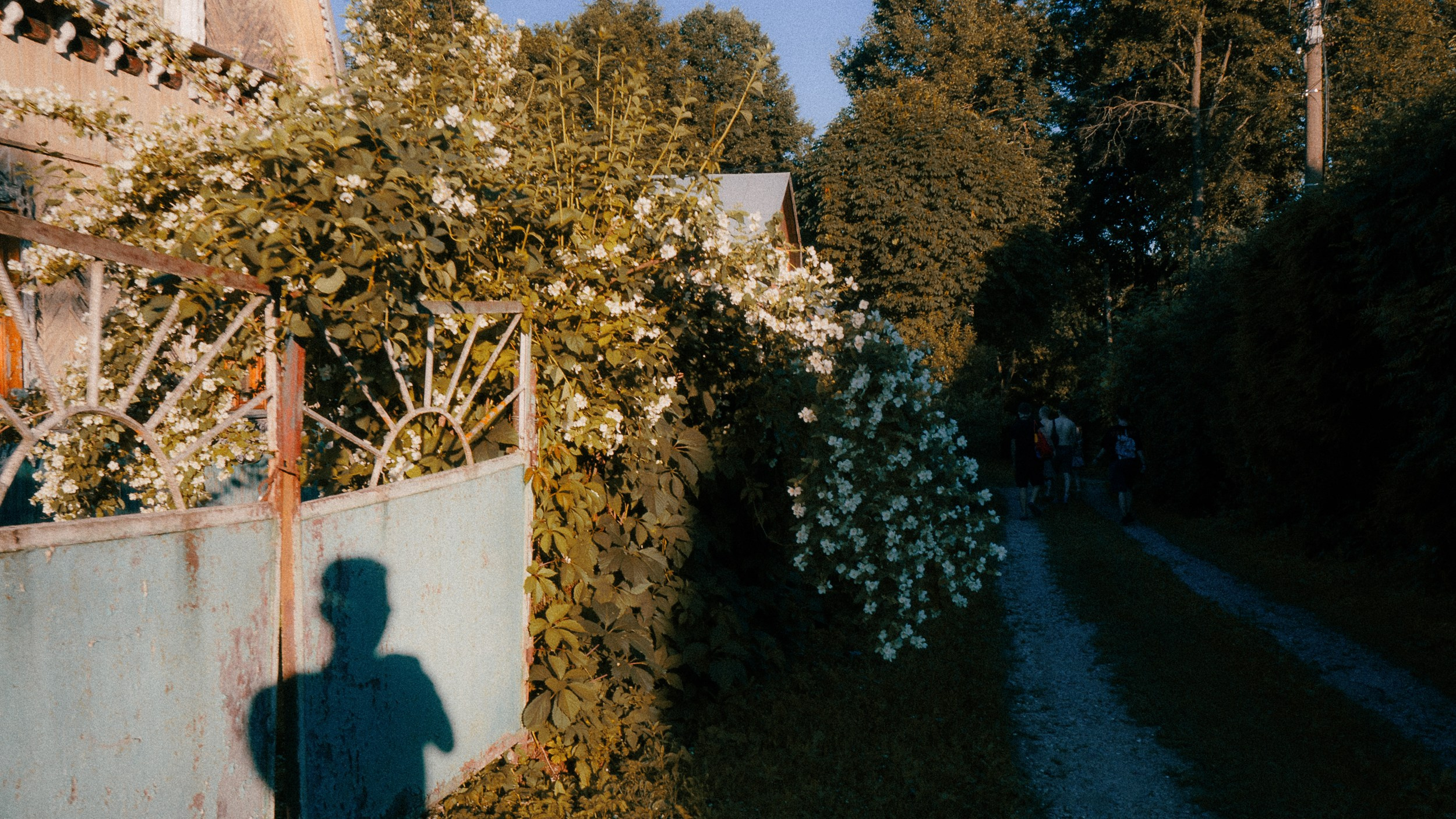 Дача '24. Фёдор Малюгин. Ваш бади в визуале