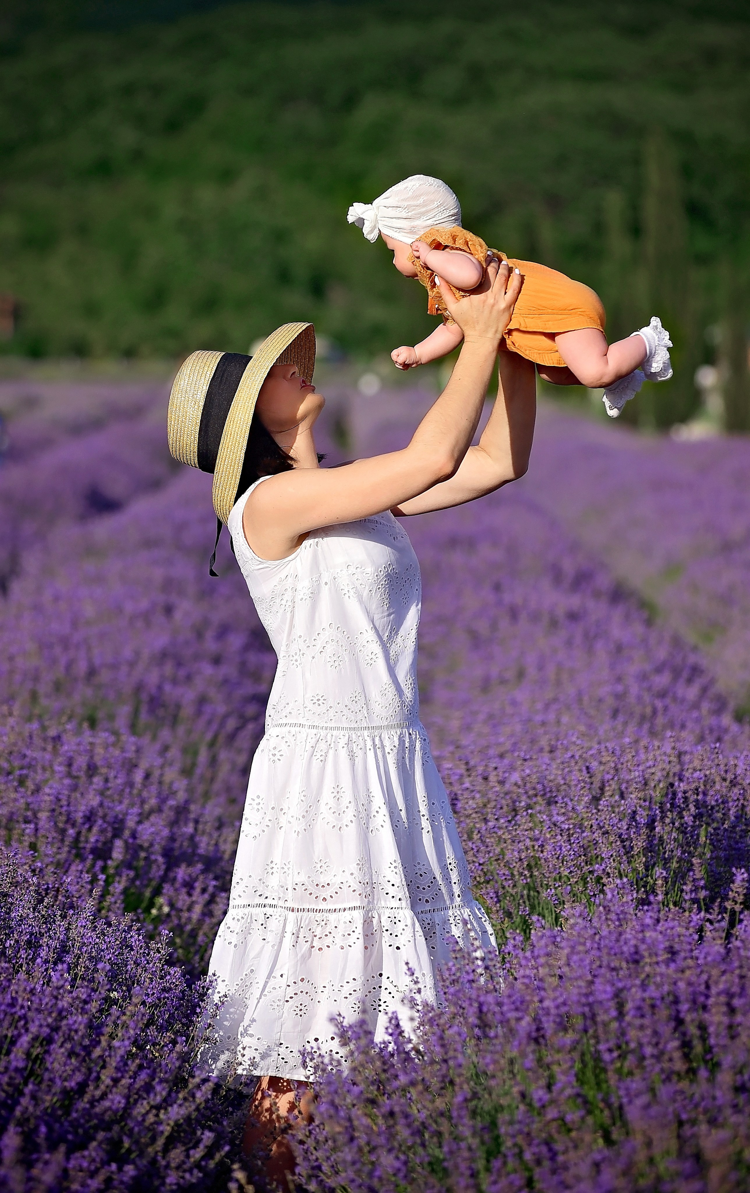 Лаванда. Главная