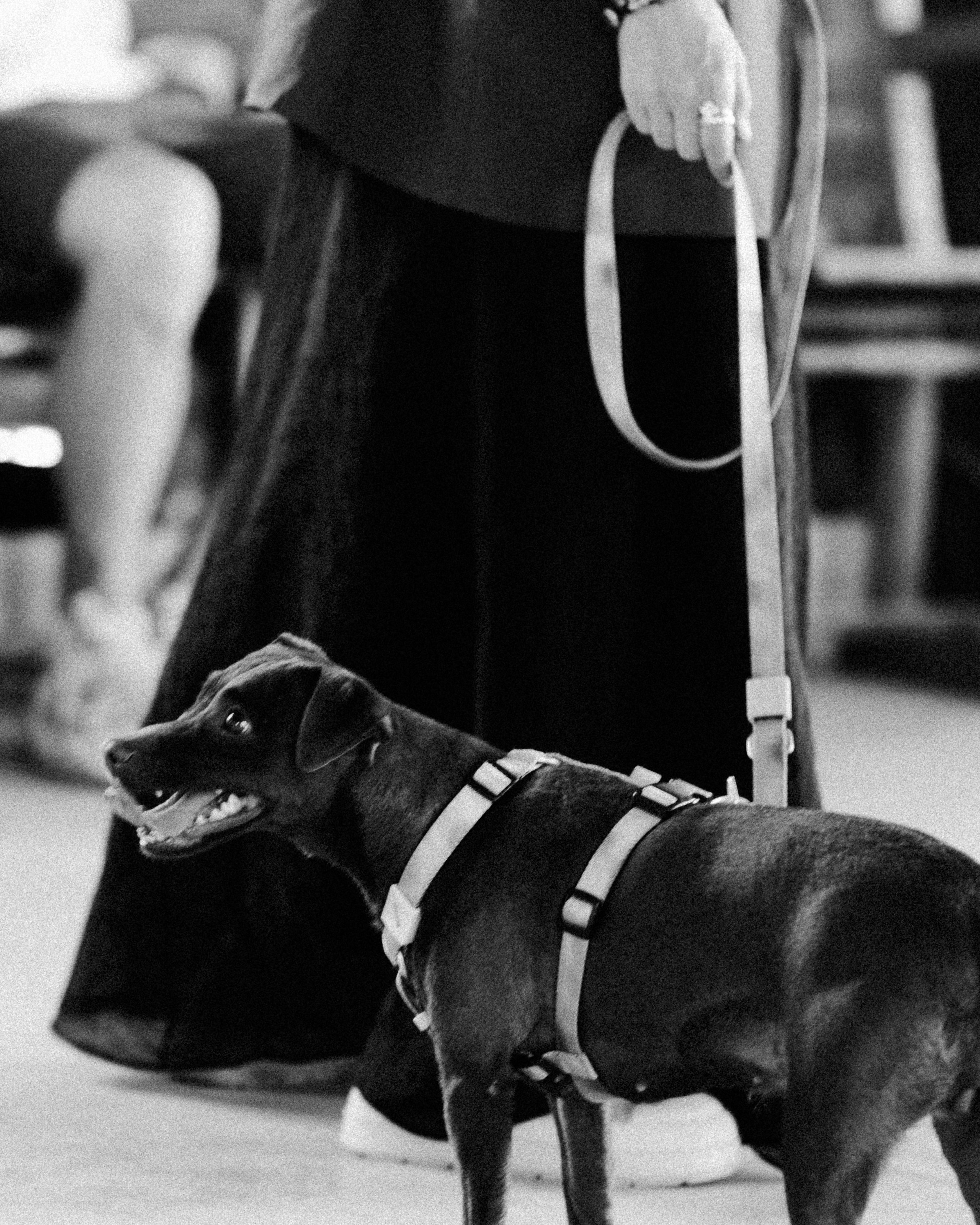 Открытие сезона созерцаний. Репортажный и портретный фотограф во Владимире Сергей Кравцов