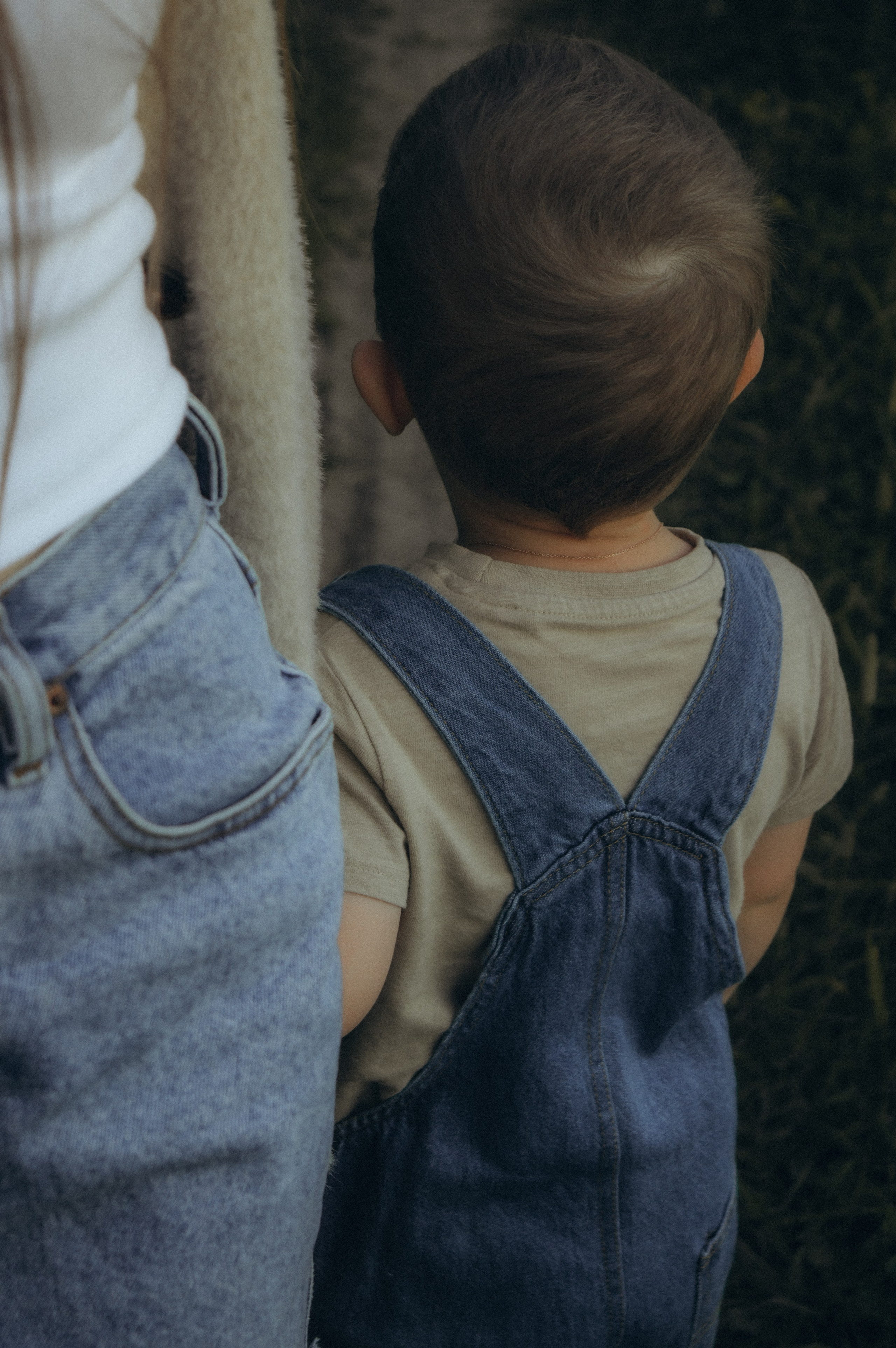Нежность июля. Семейная фотосессия на природе. Юлия Левада Семейный и женский фотограф