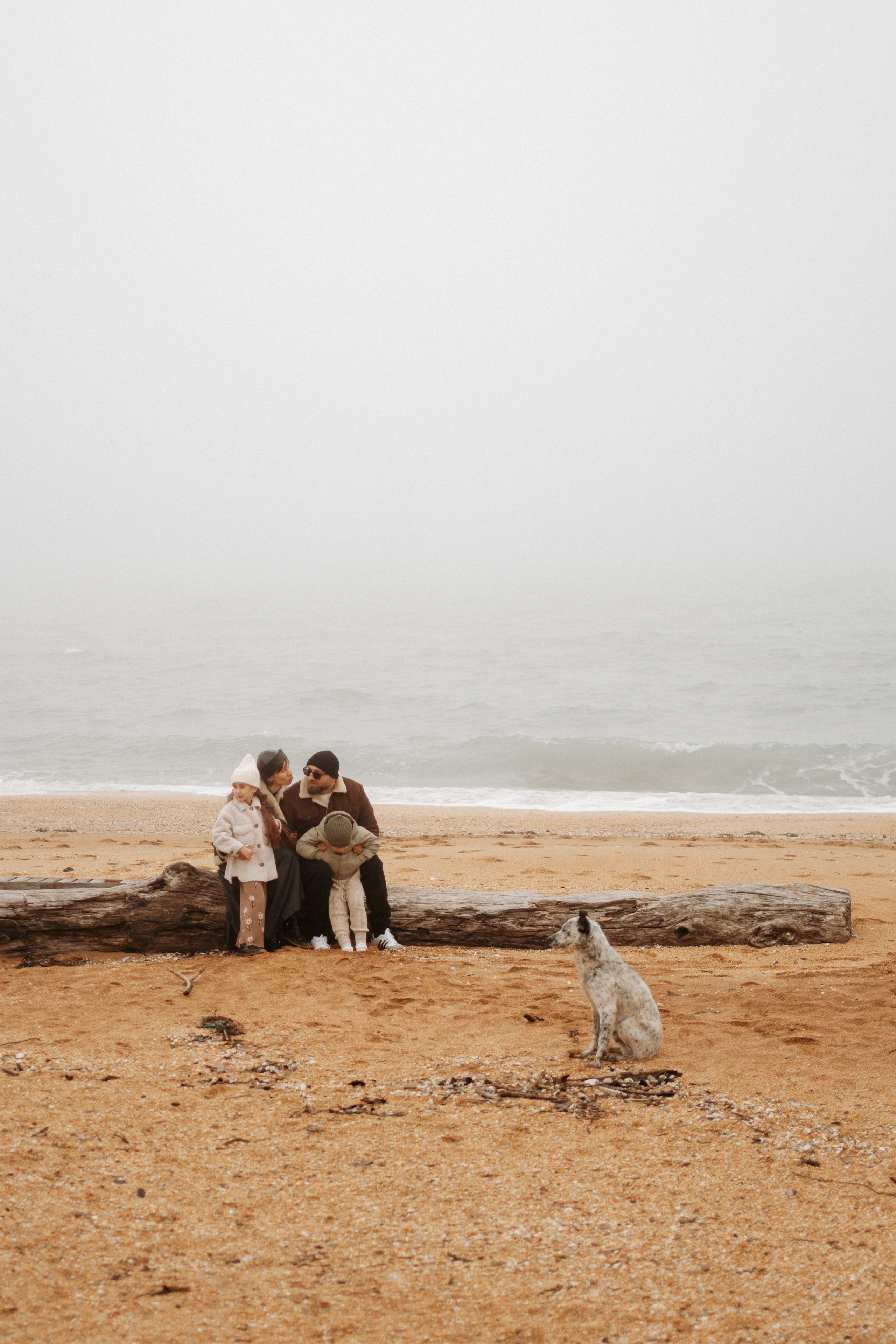 Твои, Мои, Наши