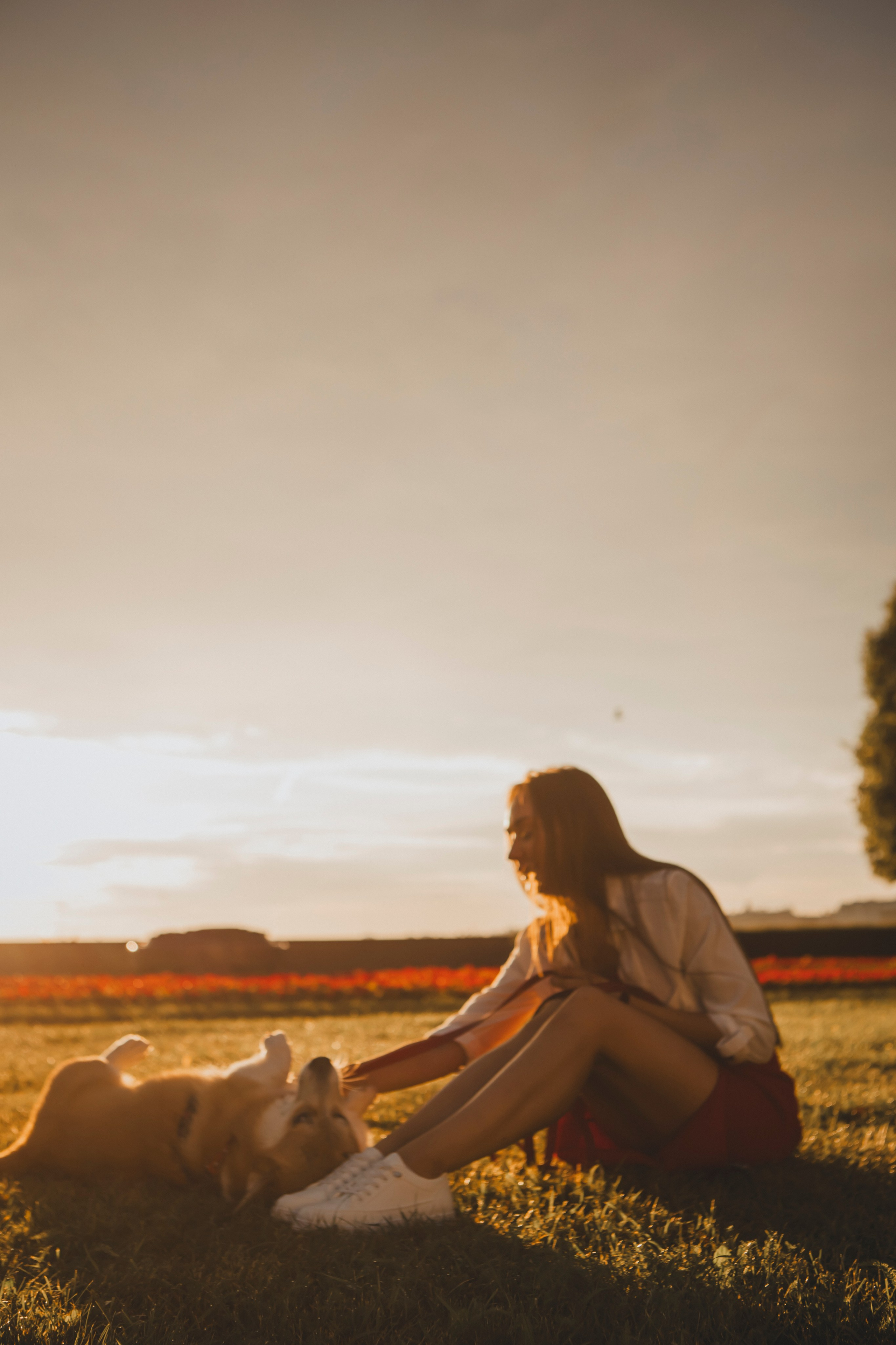 Настя и Стёпа. Фотограф-анималист в Санкт-Петербурге Алина Яхонт