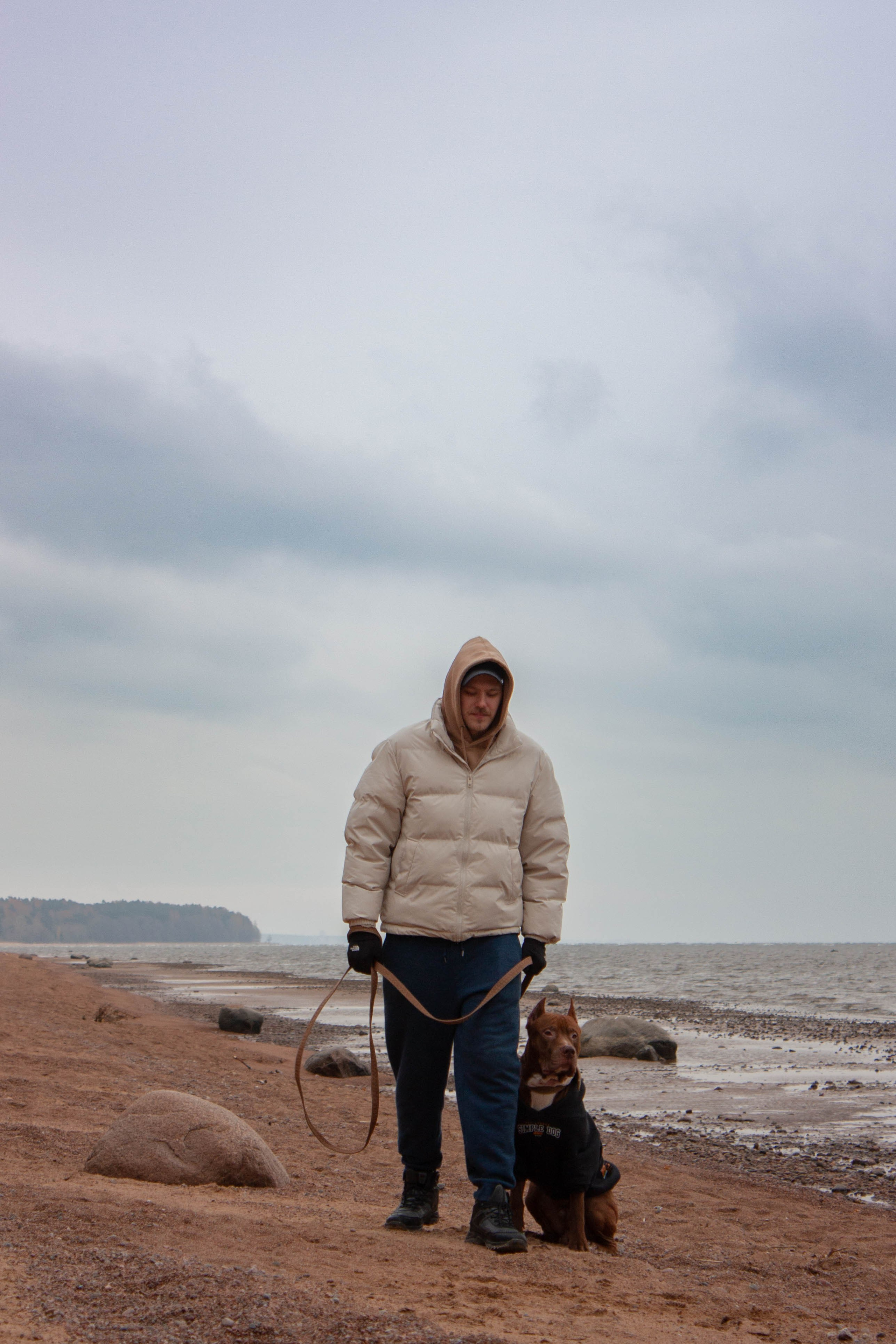 Айрон и Егор. Фотограф-анималист в Санкт-Петербурге Алина Яхонт
