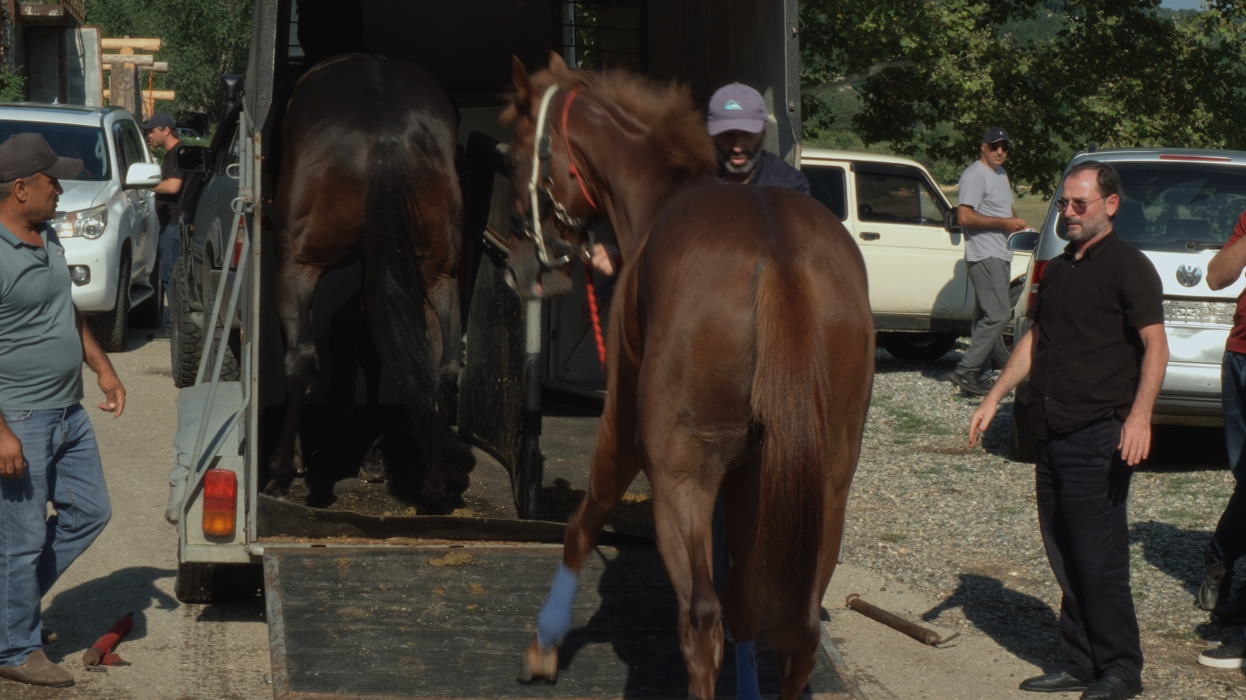Абхазские скачки. Главная