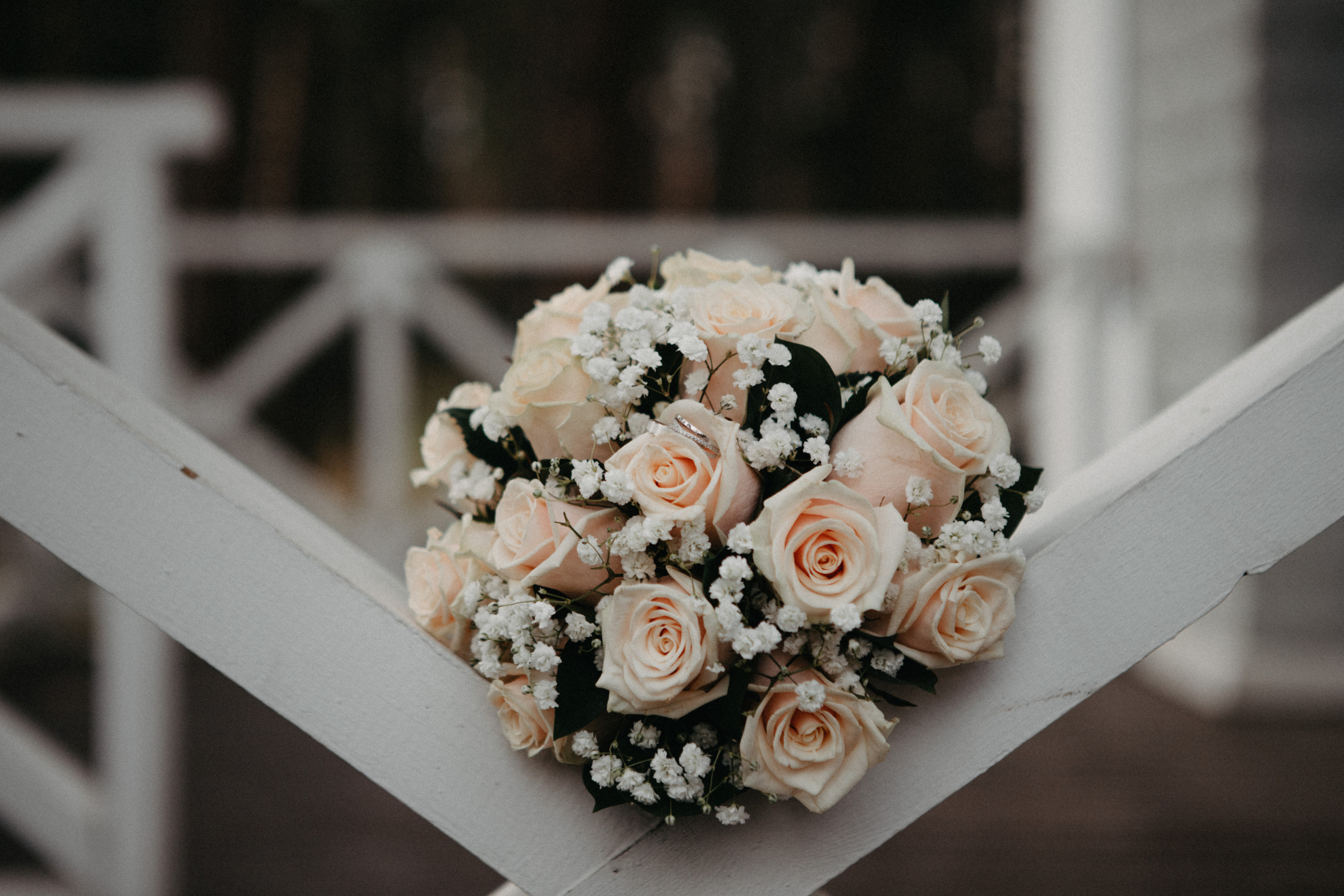 Анонс со свадьбы Тани и Жени. Свадебный фотограф Москва и другие города