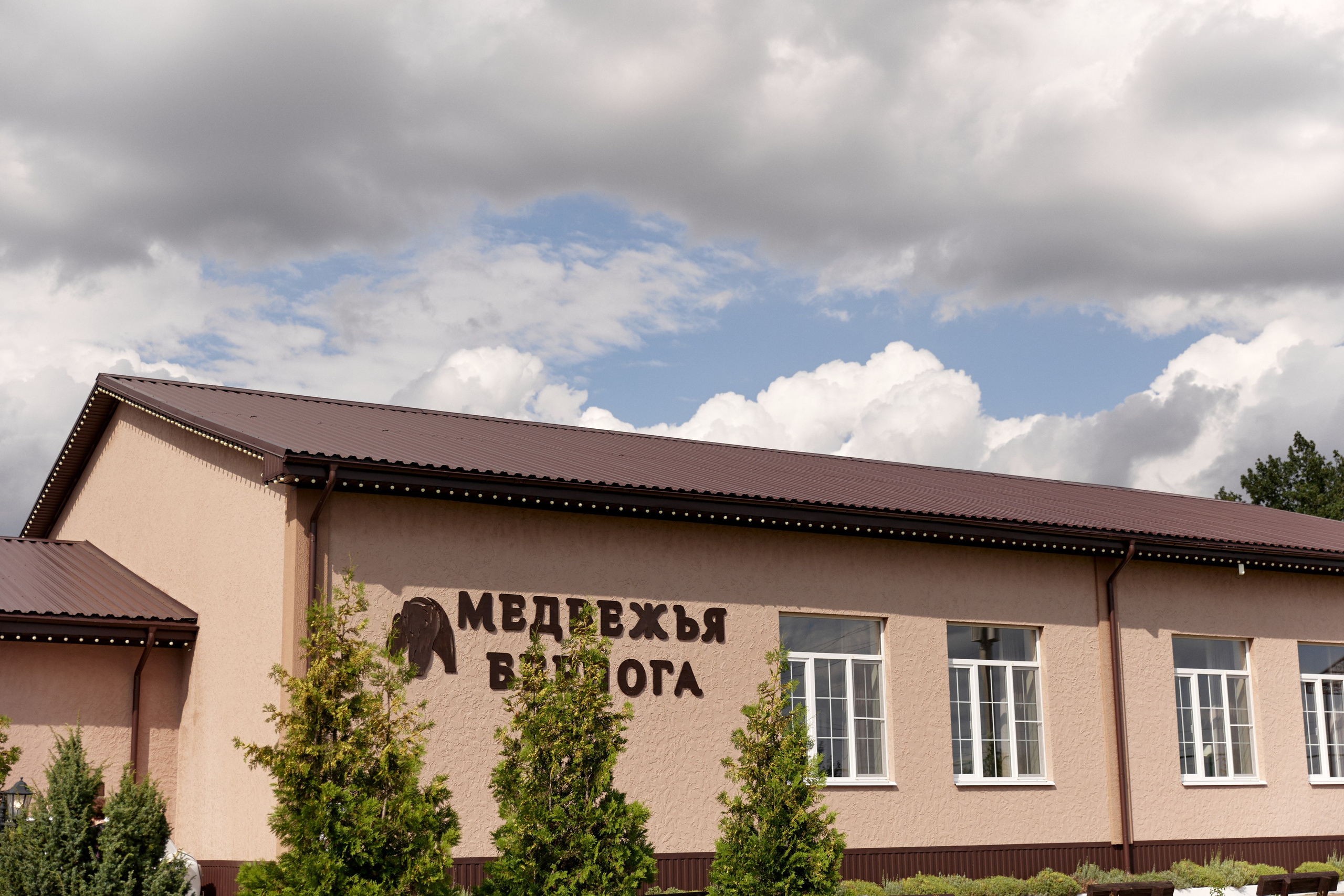 Анастасия & Михаил. Фотограф и преподаватель по фотографии в Воронеже Олеся Микерова