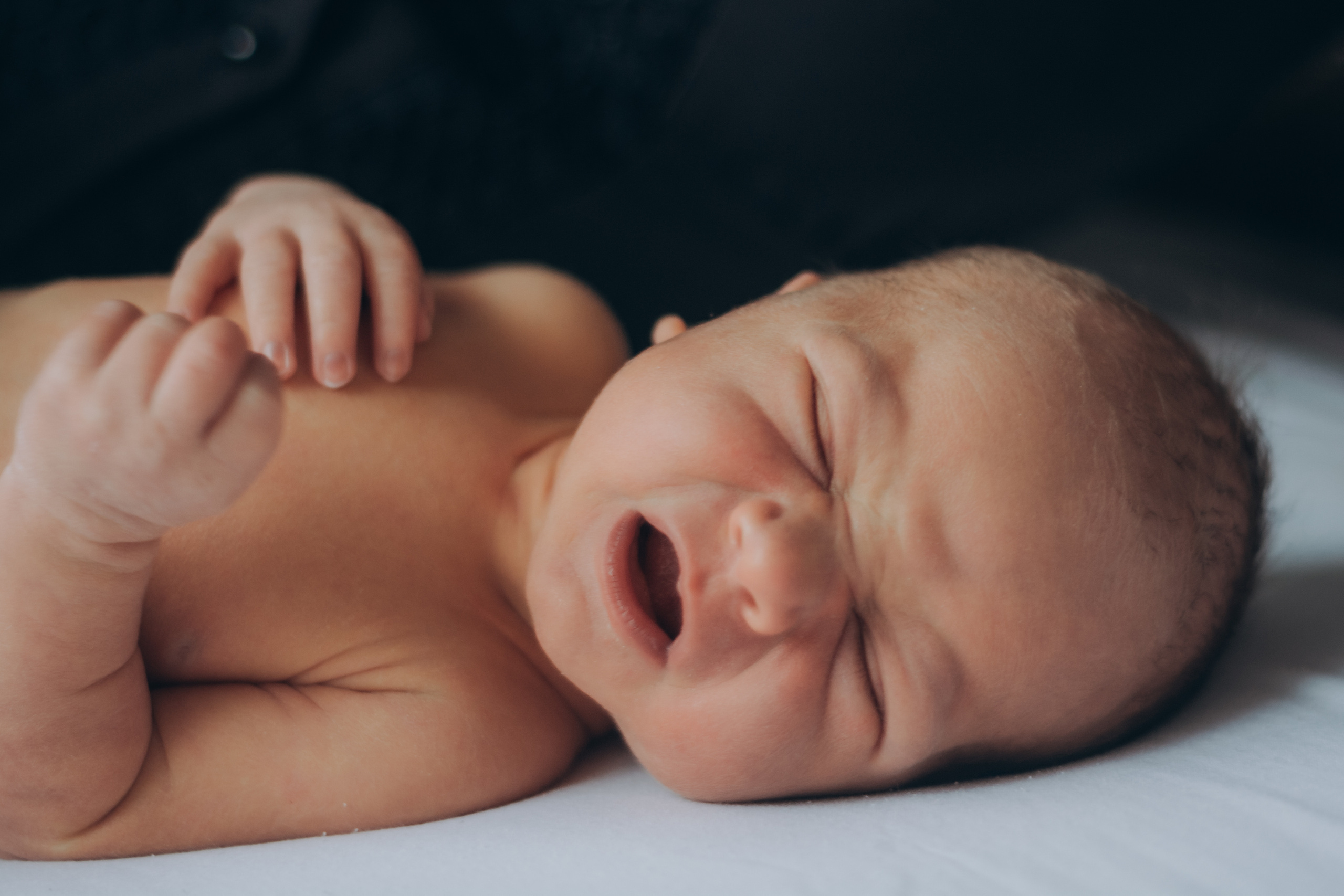 Фотосессия новорожденного Вани. Семейный и детский фотограф Кущ Наташа