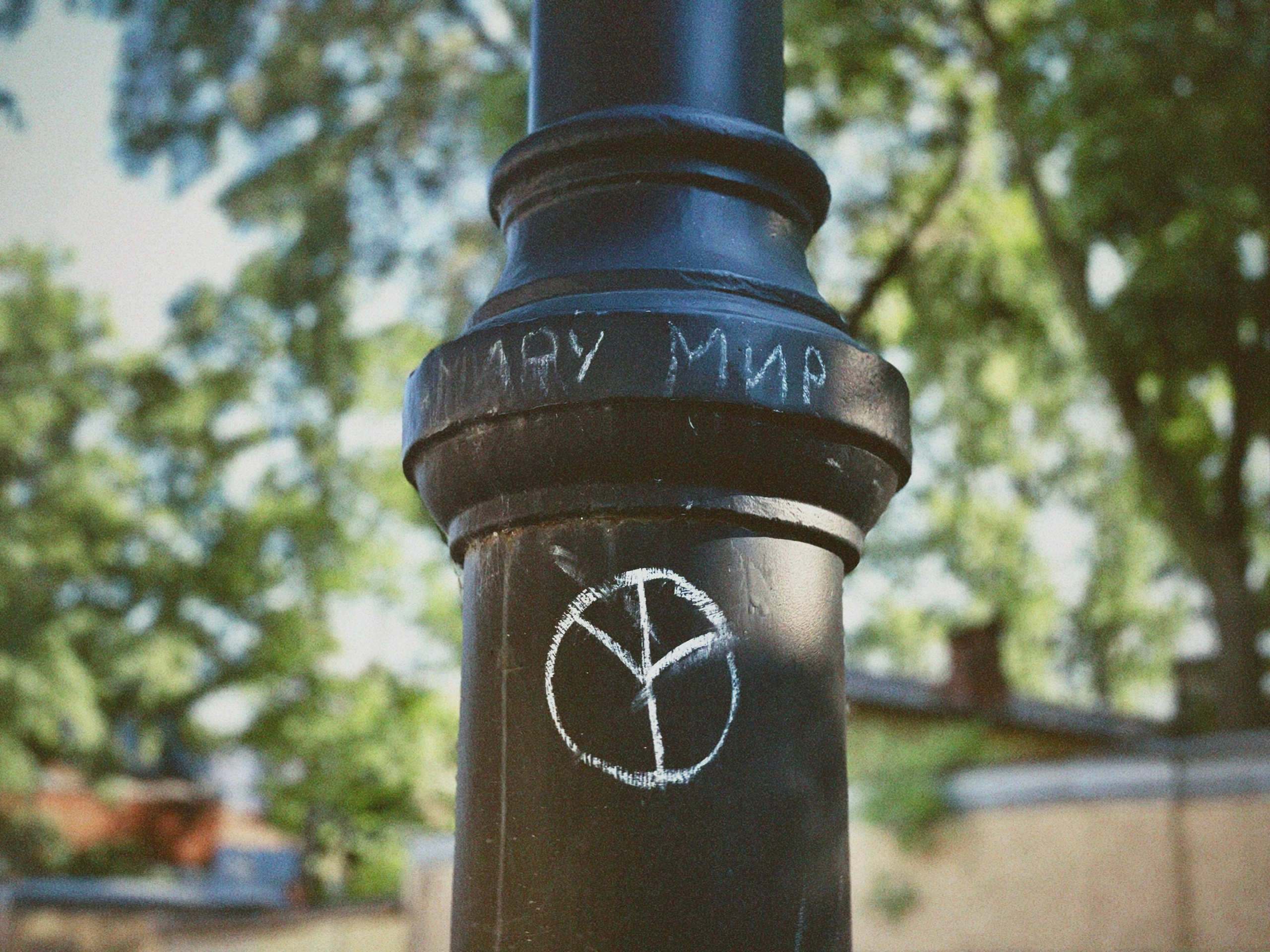 Street Caps. Alina Panover