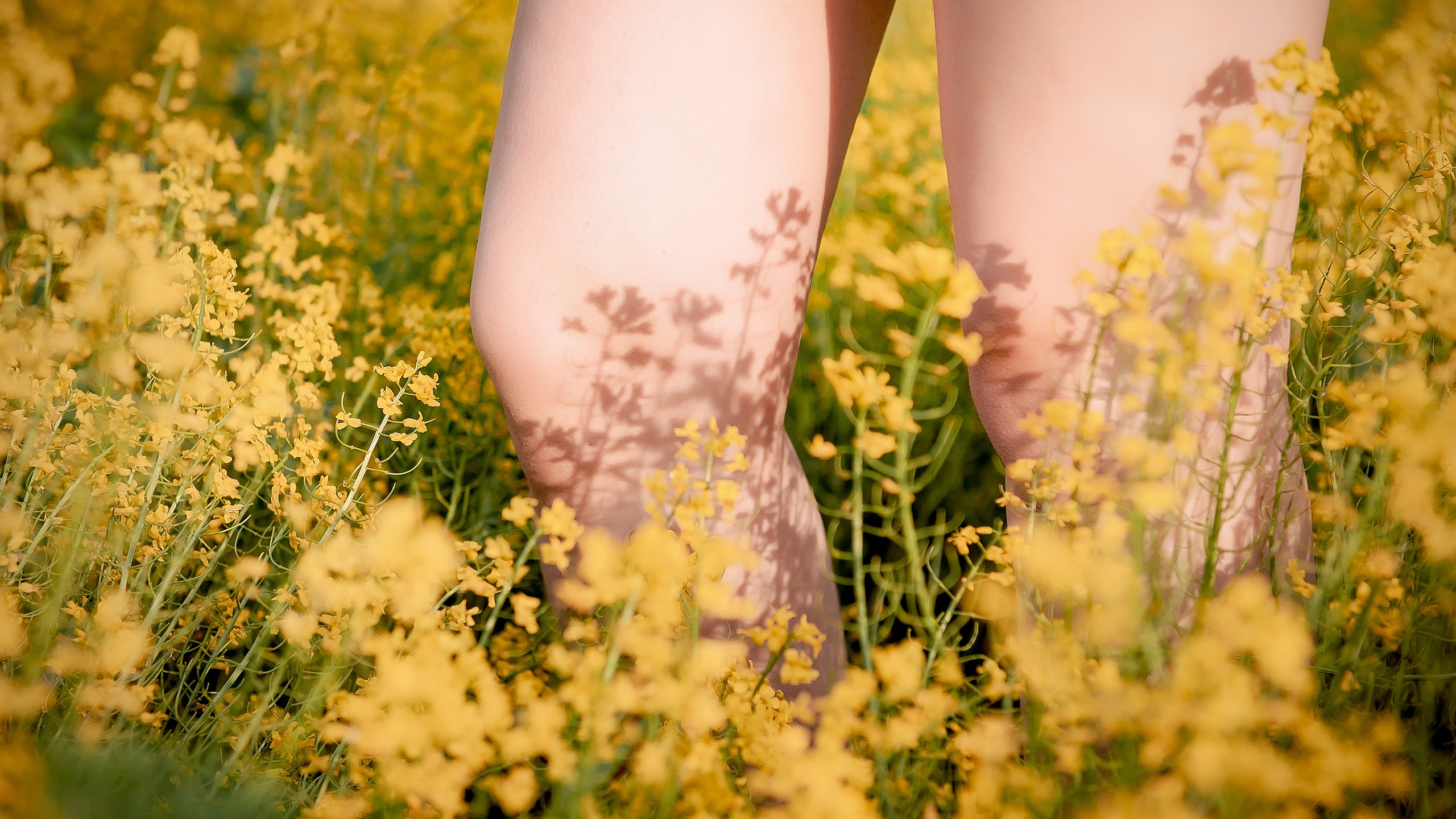 Надя, МО, Лосино-Петровский. Свадебный и семейный фотограф Виктория Носачёва. Щелково, Москва и МО