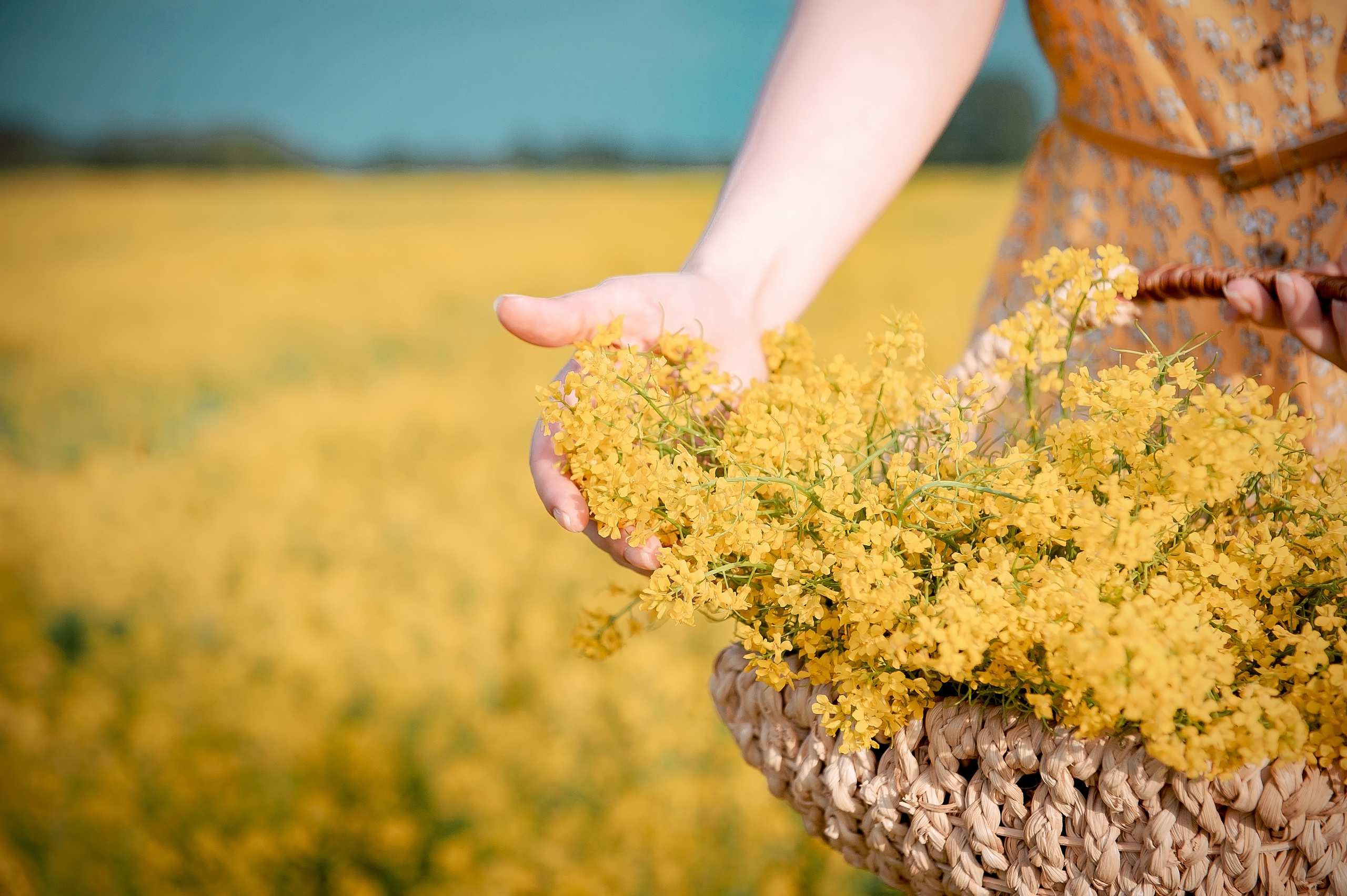 Надя, МО, Лосино-Петровский. Свадебный и семейный фотограф Виктория Носачёва. Щелково, Москва и МО
