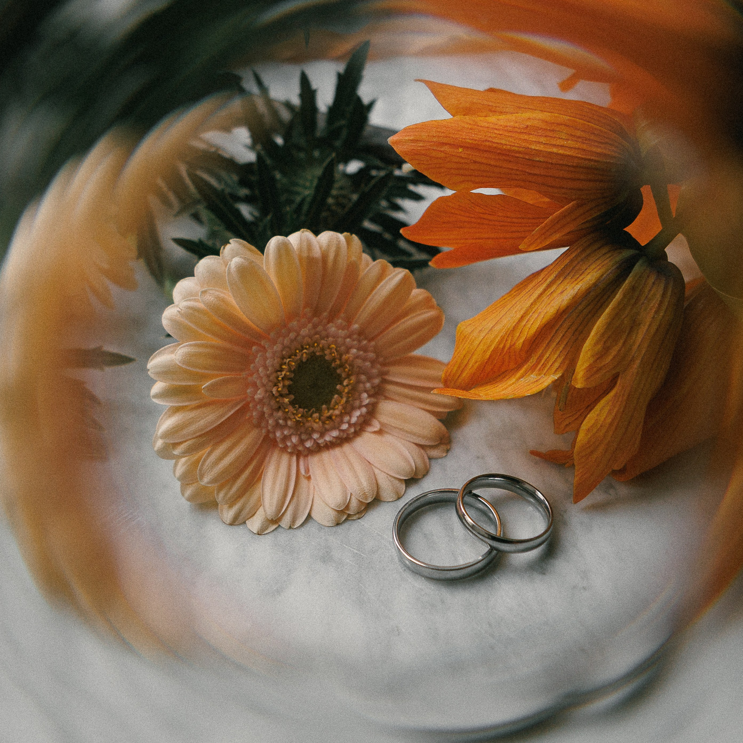 Илья и Мария. Фото и Видеосъемка на ваше мероприятие. Александр Романов