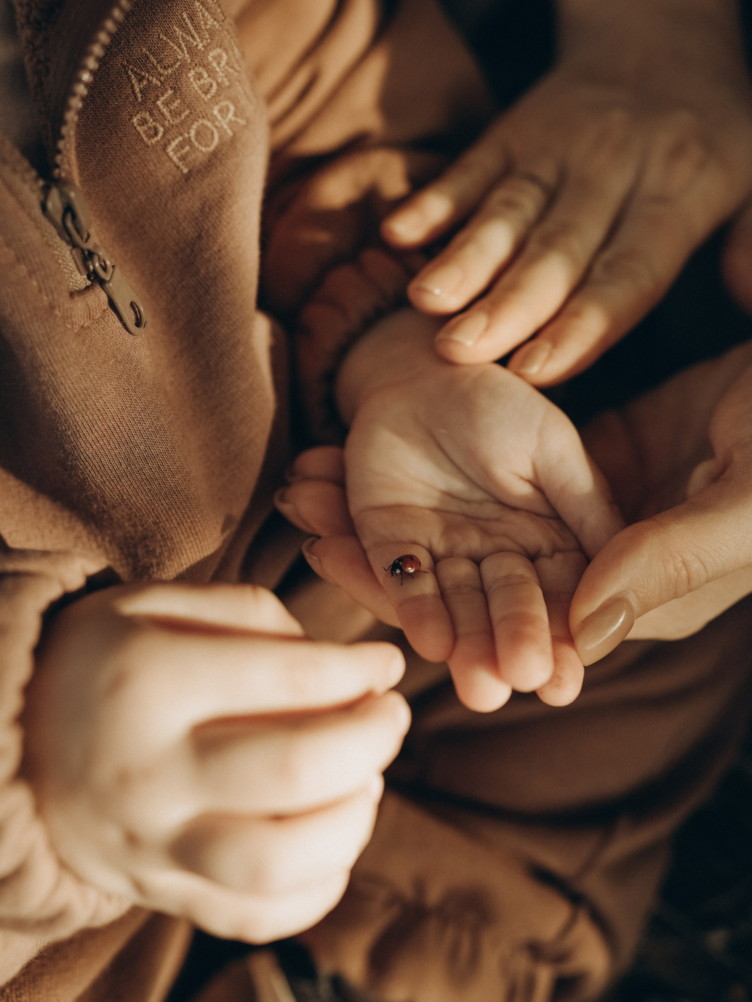 Семейная съемка Виктории, Максима, маленького Матвея. Свадебный фотограф Ирина Беляева Пятигорск|Кисловодск|Эльбрус|Домбай