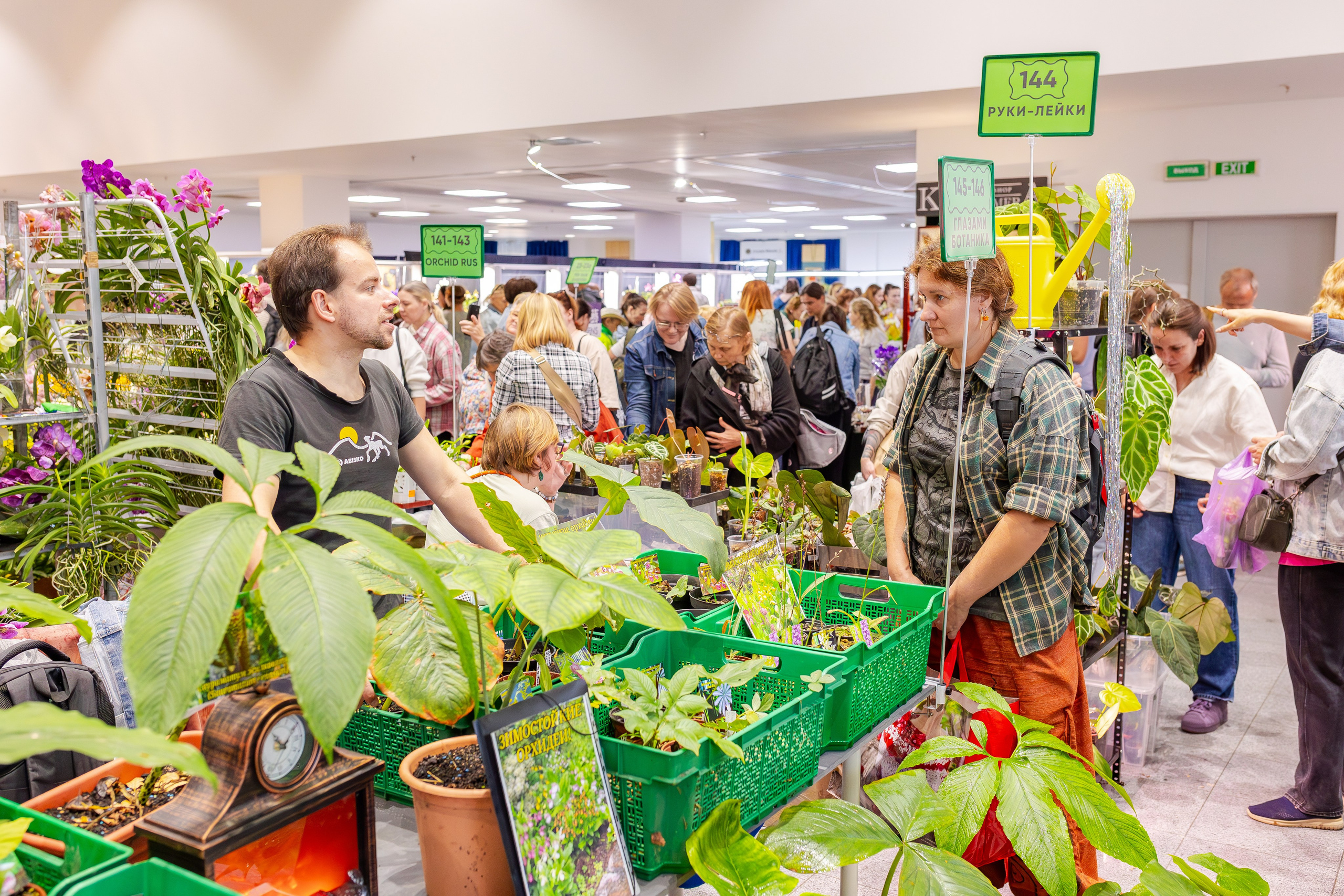 Орхидиум сентябрь 2025. Александра Куликова фотограф, Москва