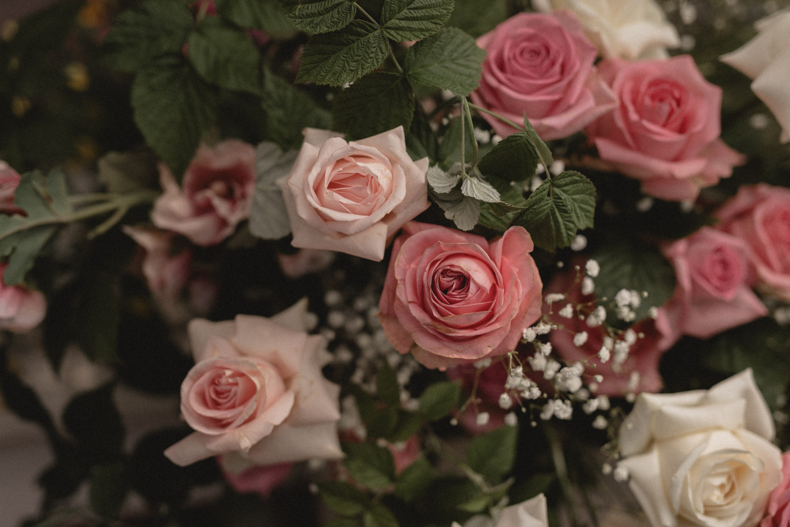 Виталий & Виктория