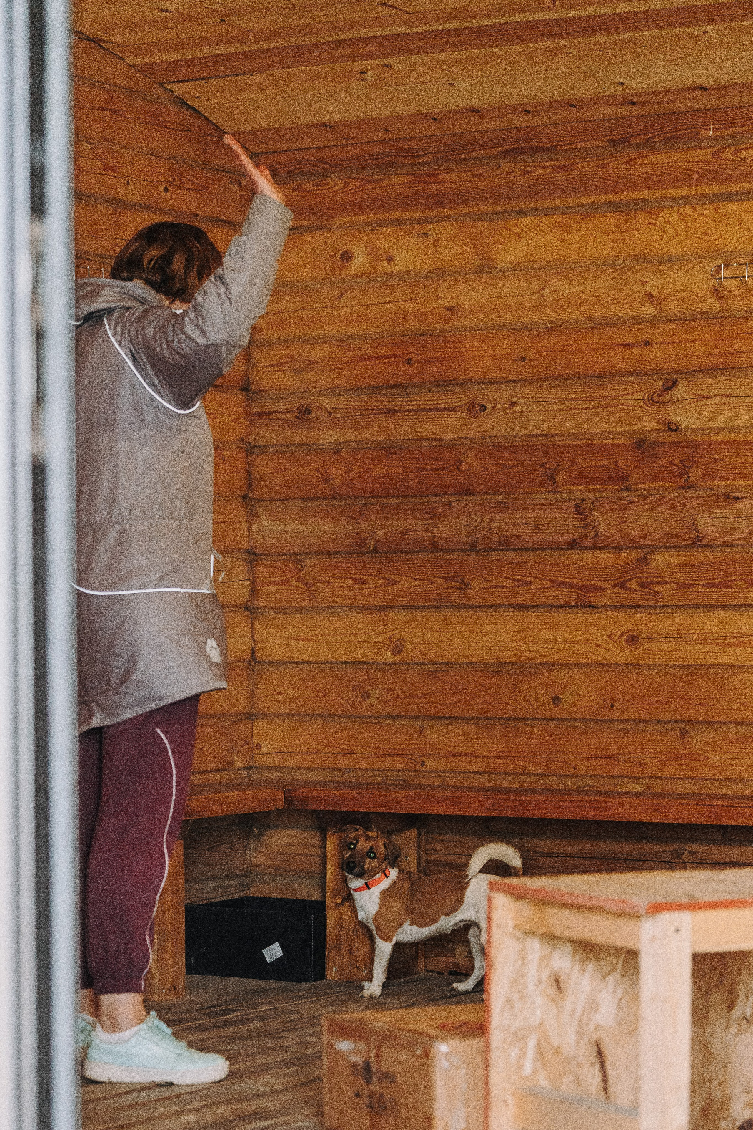 Соревнования по ноузворку в Лосево. Фотограф анималист в Спб недорого Олеся Майорова