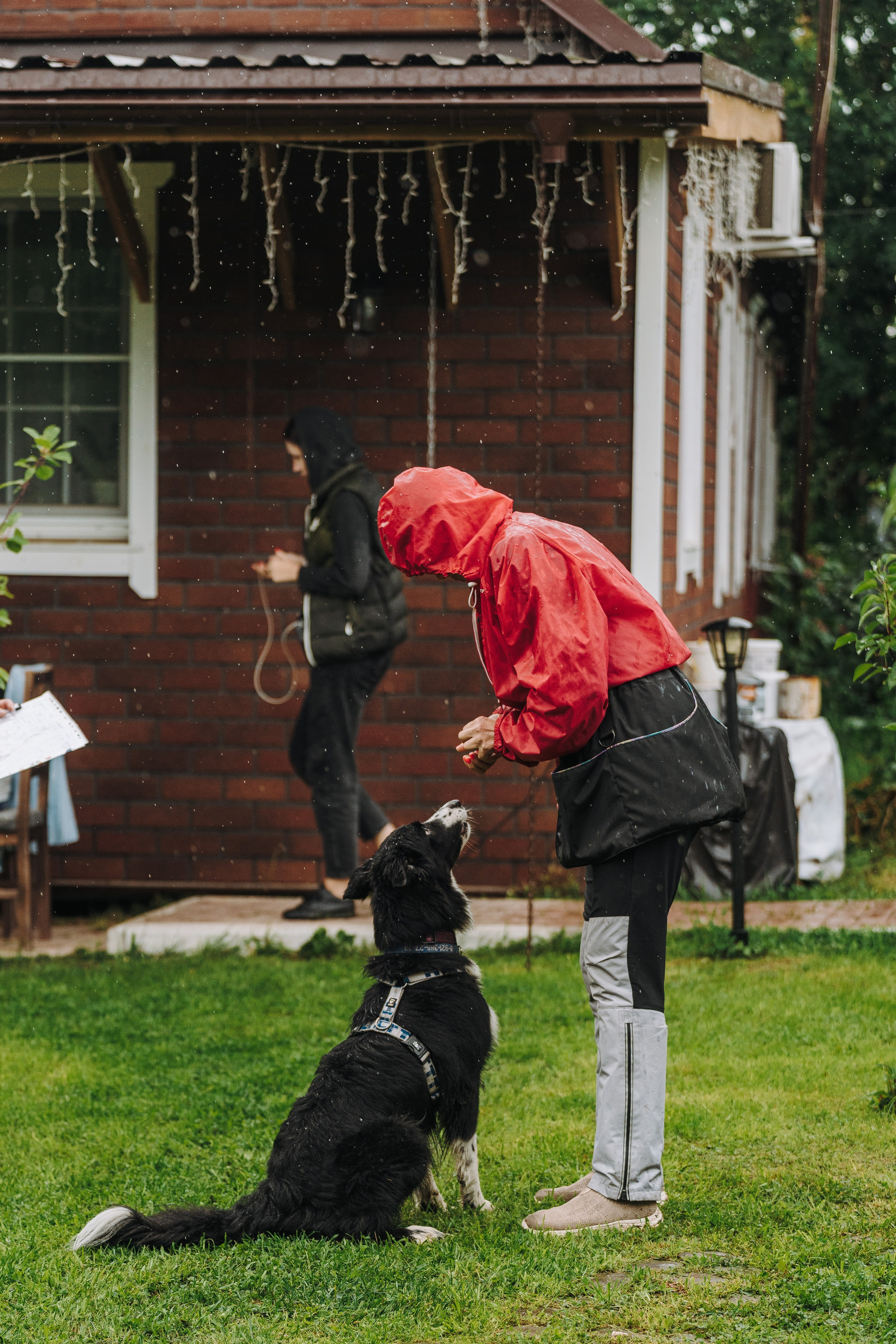Соревнования по ноузворку в Новожилово. Фотограф анималист в Спб недорого Олеся Майорова