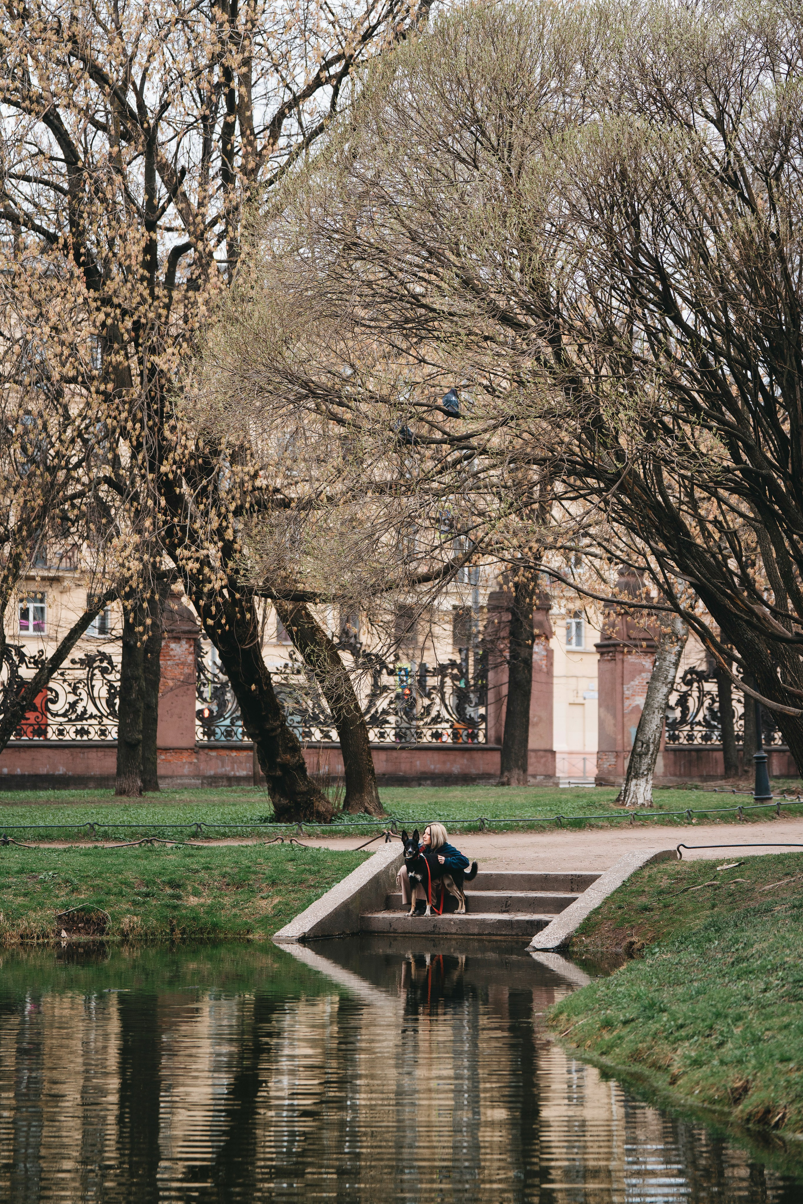 Эля и Шиза. Фотограф анималист в Спб недорого Олеся Майорова