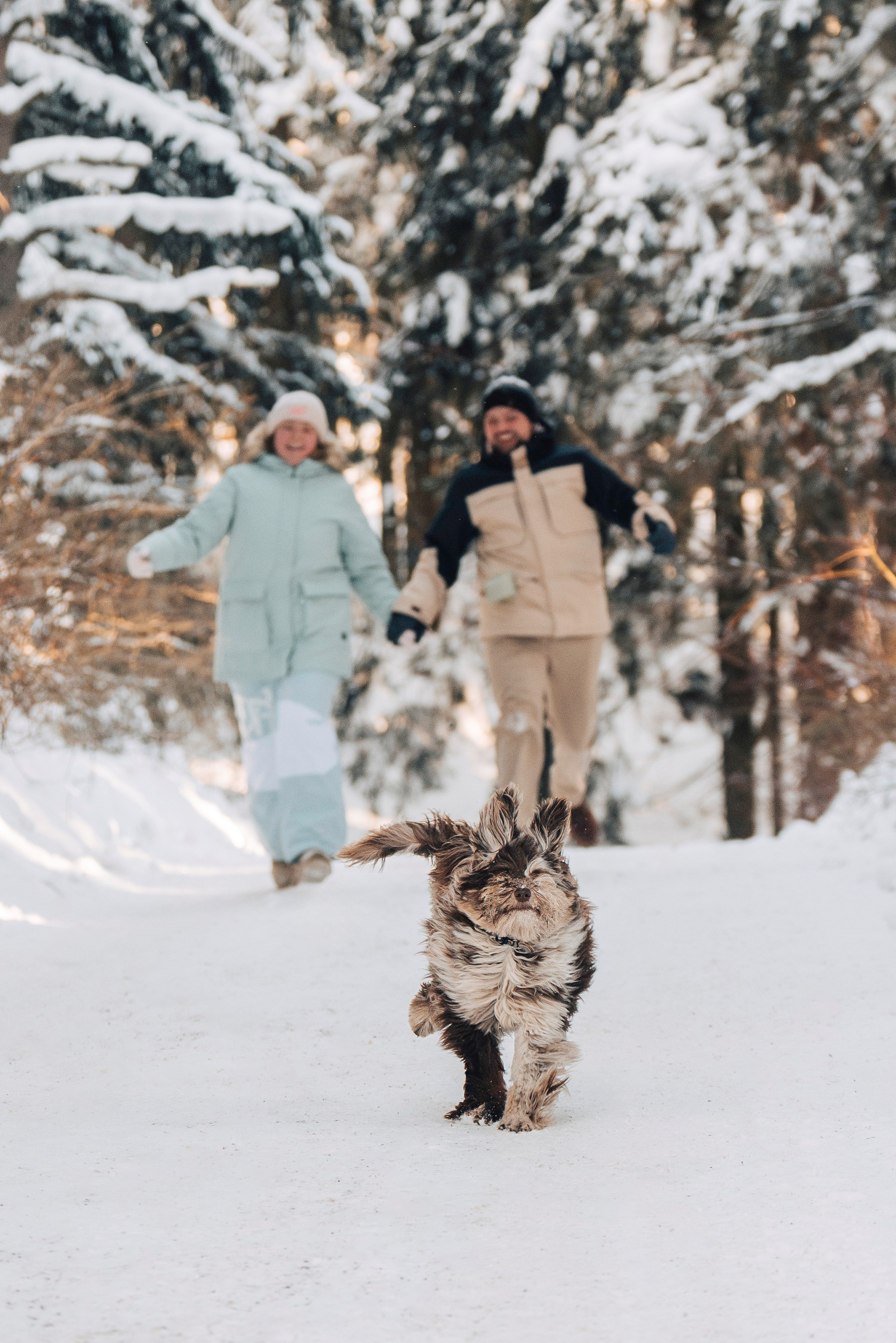 Хэйзел и её семья. Фотограф анималист в Спб недорого Олеся Майорова