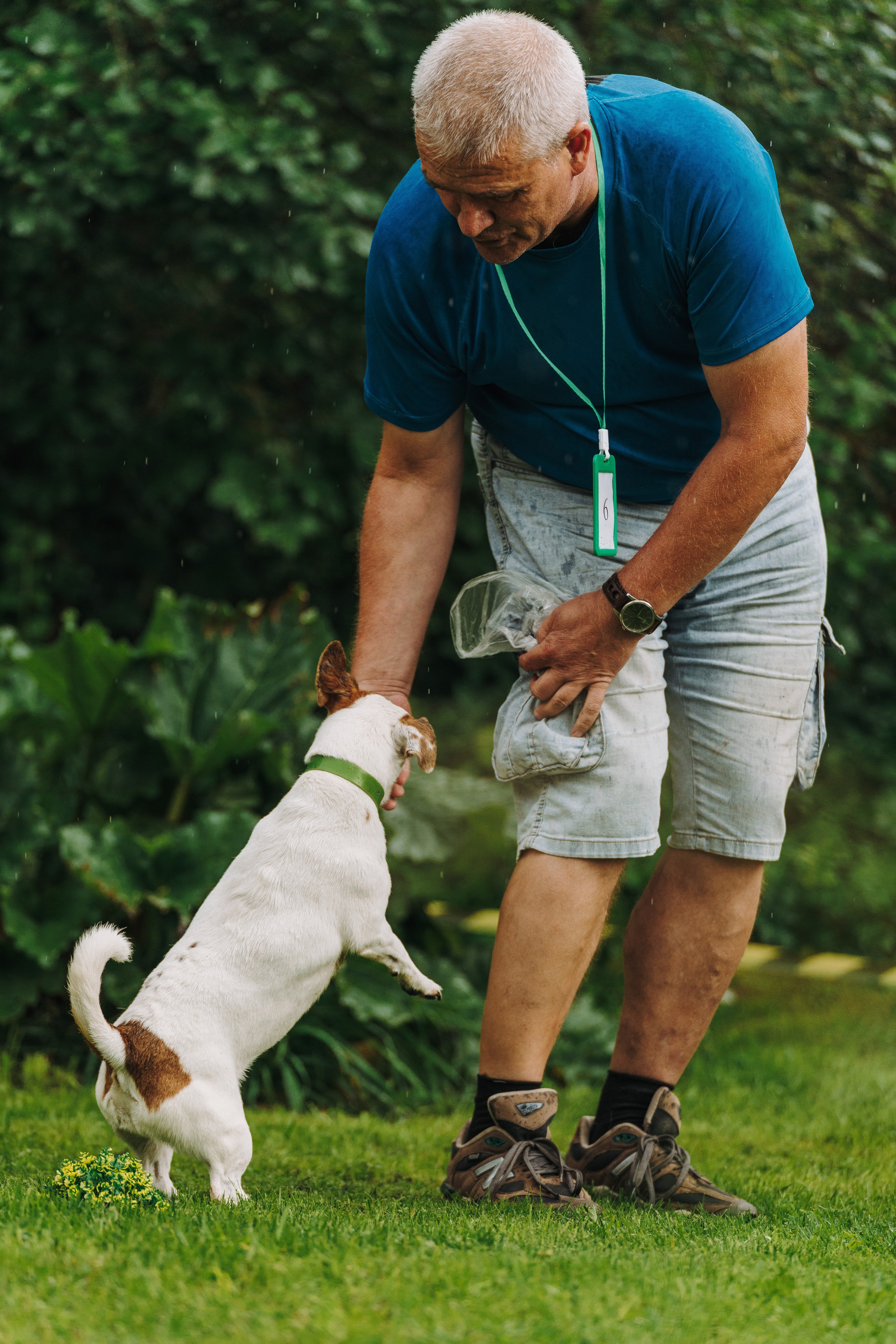 Соревнования по ноузворку в Новожилово. Фотограф анималист в Спб недорого Олеся Майорова