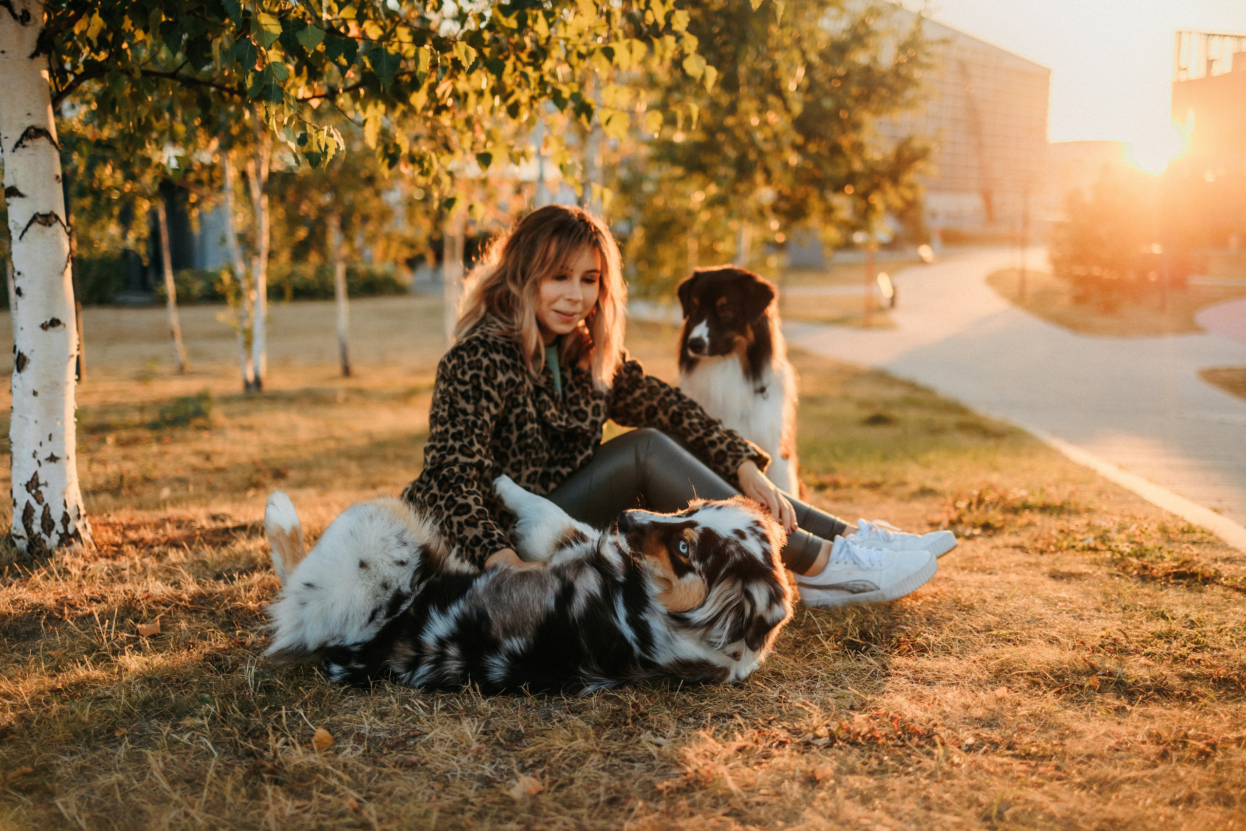 Аня, Чарли и Ева. Фотограф-анималист Елена Радченко, Москва