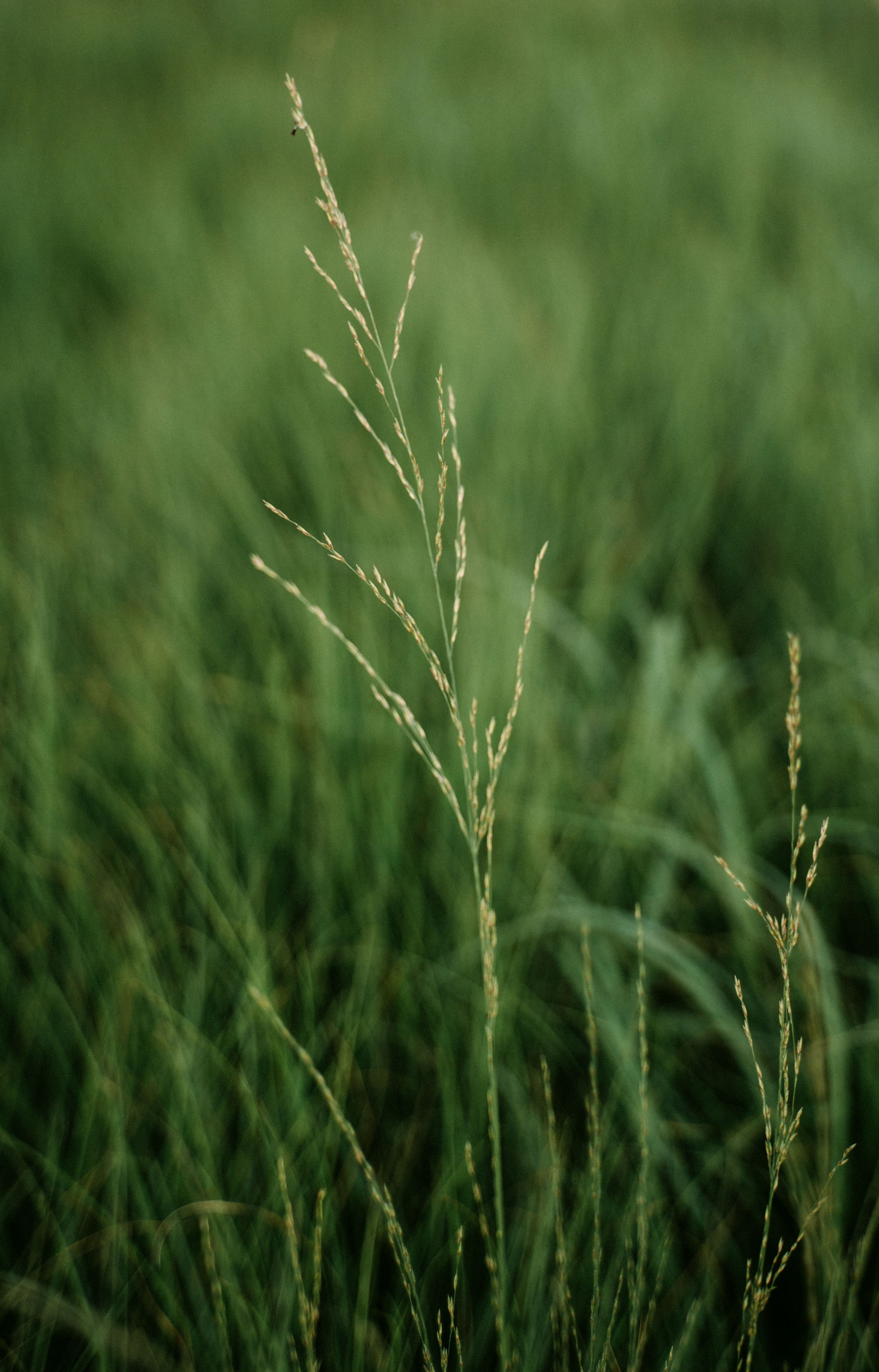 Вечер электронной музыки на Озере Кабан / 2023. Саша Копылов, фотограф в Казани