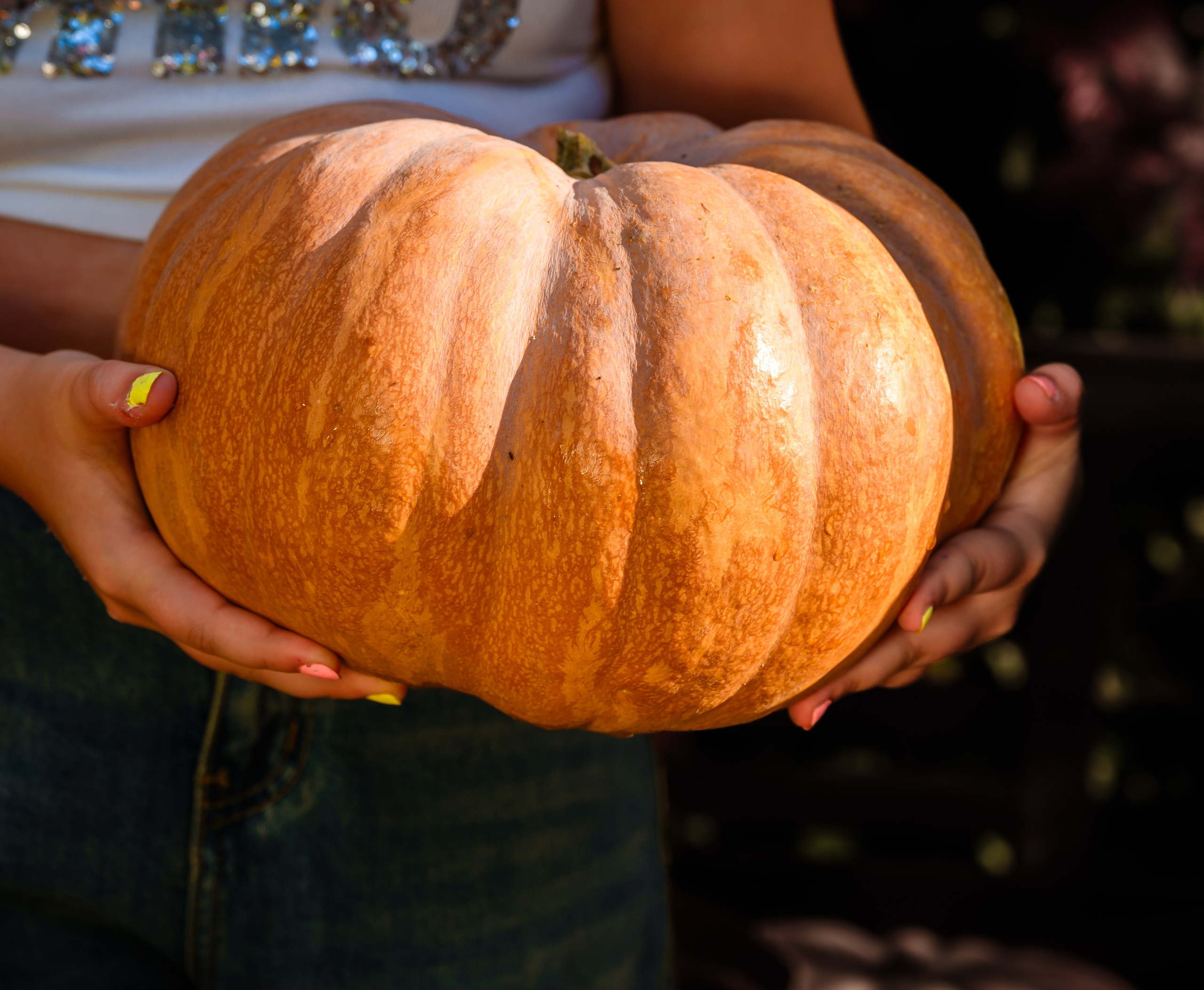 Семейные и детские фотосессии. Студийный и свадебный фотограф и видеограф в Севастополе — Юлия Макаренко