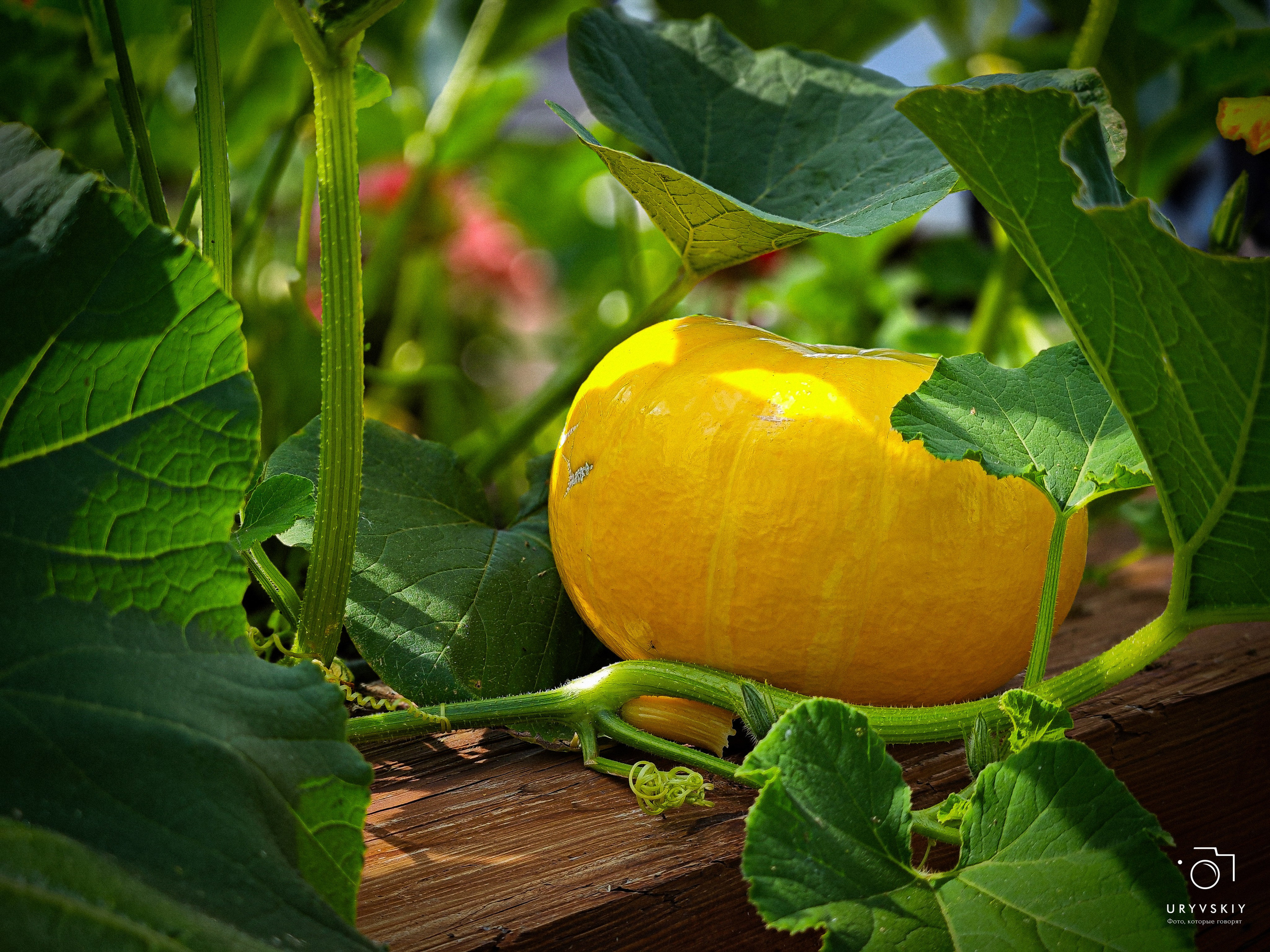 Арт пространство «Хлебзавод». Игорь Урывский. Фотограф Красноярск