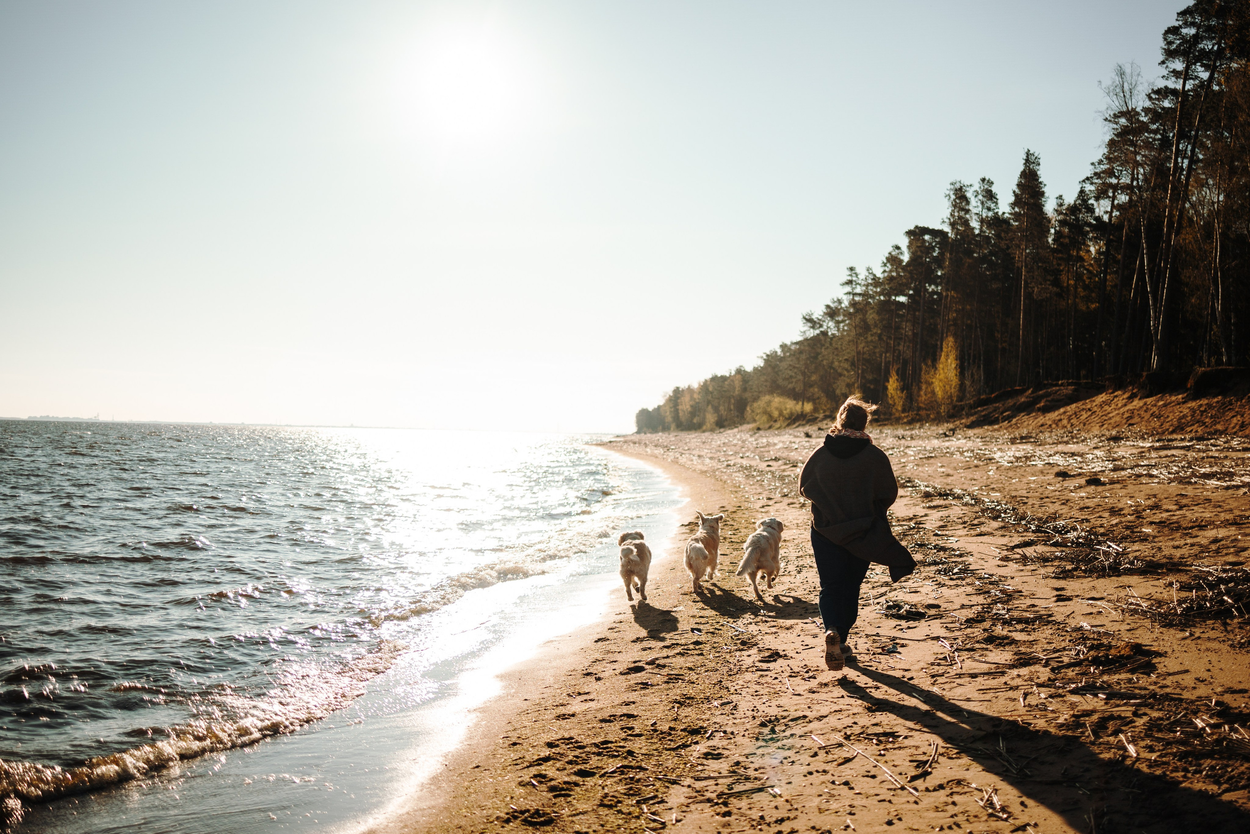 Катя и ее девочки. Фотограф — Анималист | Санкт-Петербург
