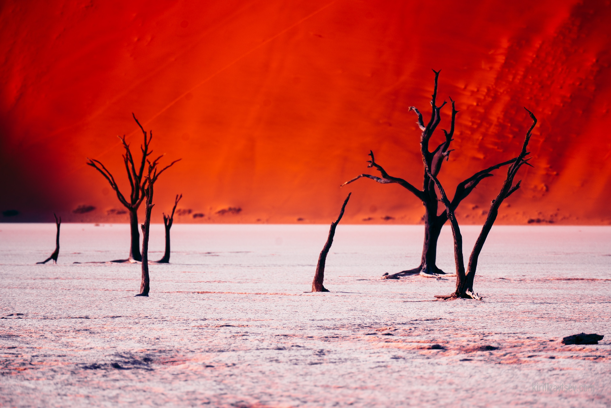 Жизнь. Профессиональный фотограф Кирилл Зайцев