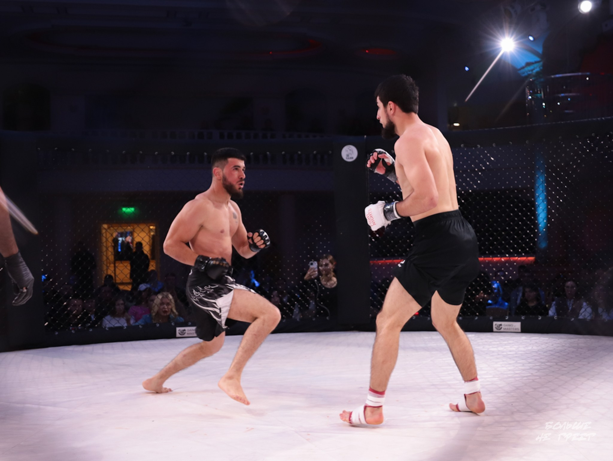 SABR FIGHTING. Больше не греет