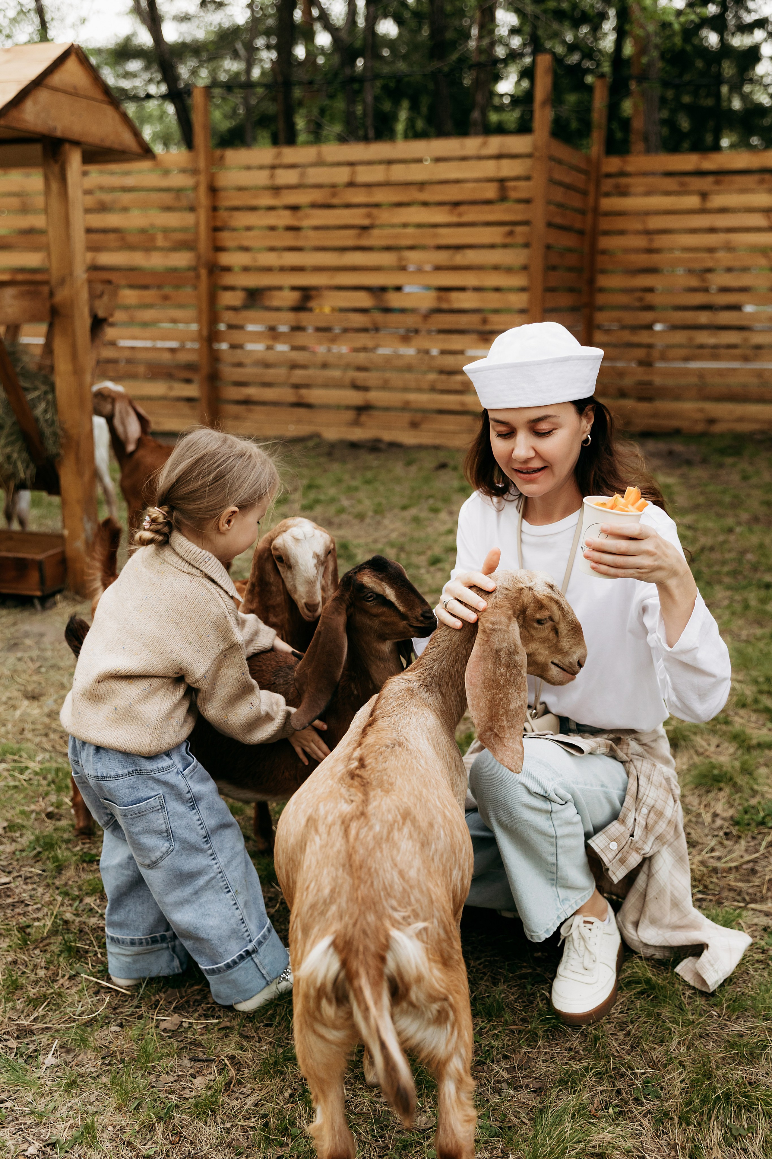 Привет, лама!. Главная