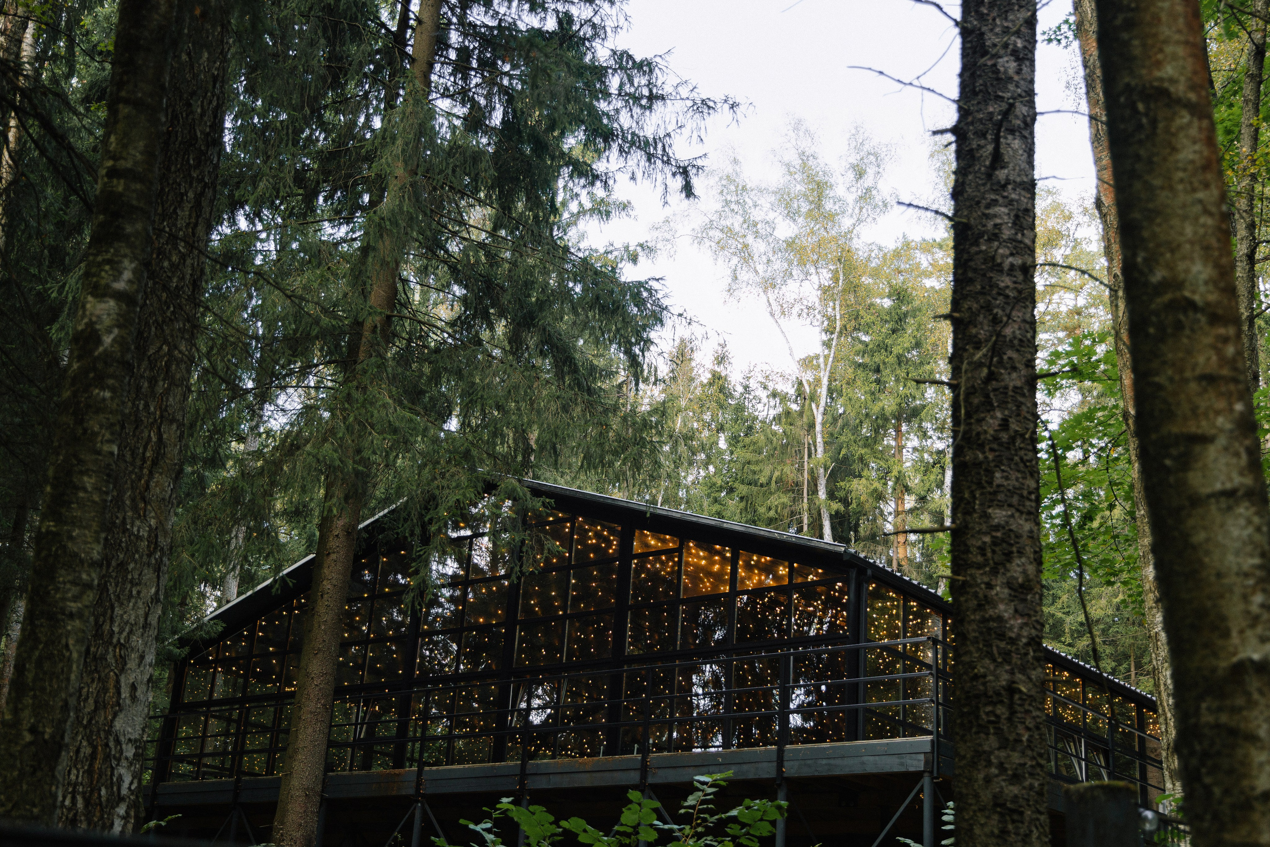 Никита и Екатерина. Свадебный фотограф и видеограф в Москве, Виктор Архилюк