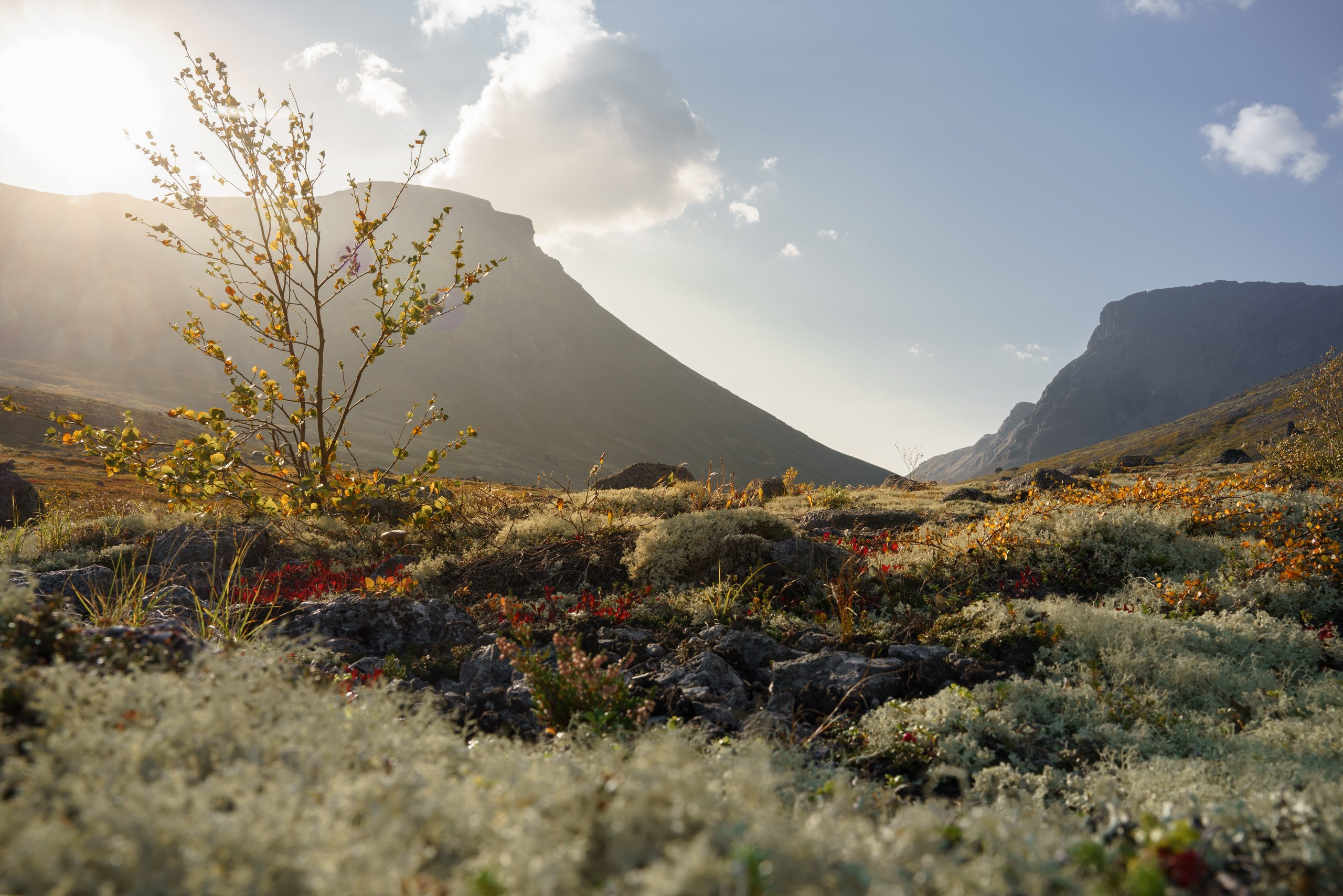 Кольский. Карелия. Фотограф в Красноярске Нерозя Александр. Пейзаж, природа, портрет