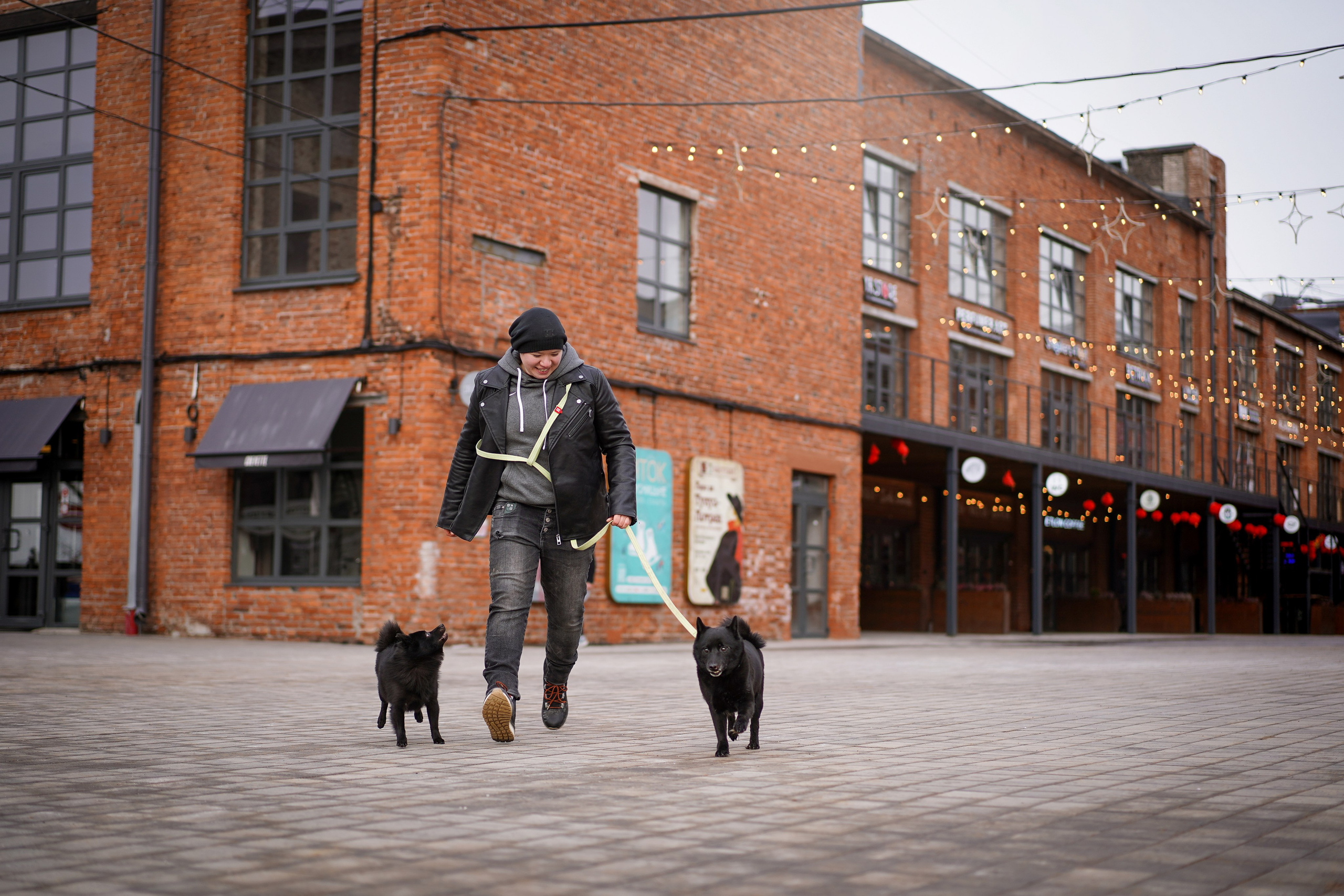 Аня Арчи и Мишель. Фотограф-анималист в Санкт-Петербурге Яна Мартынова