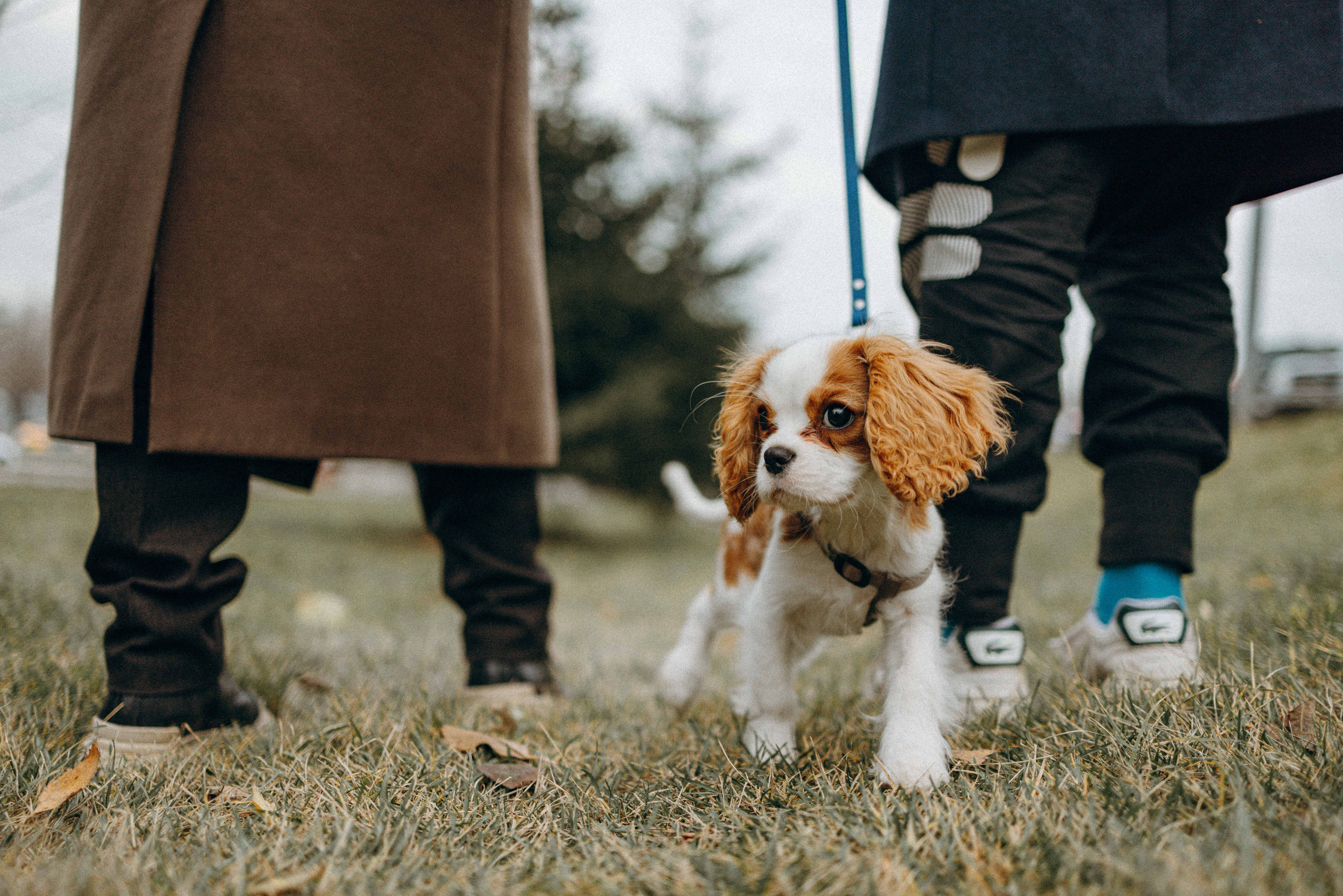 Юля и Кипр. Фотограф-анималист в Москве Лера Черноног
