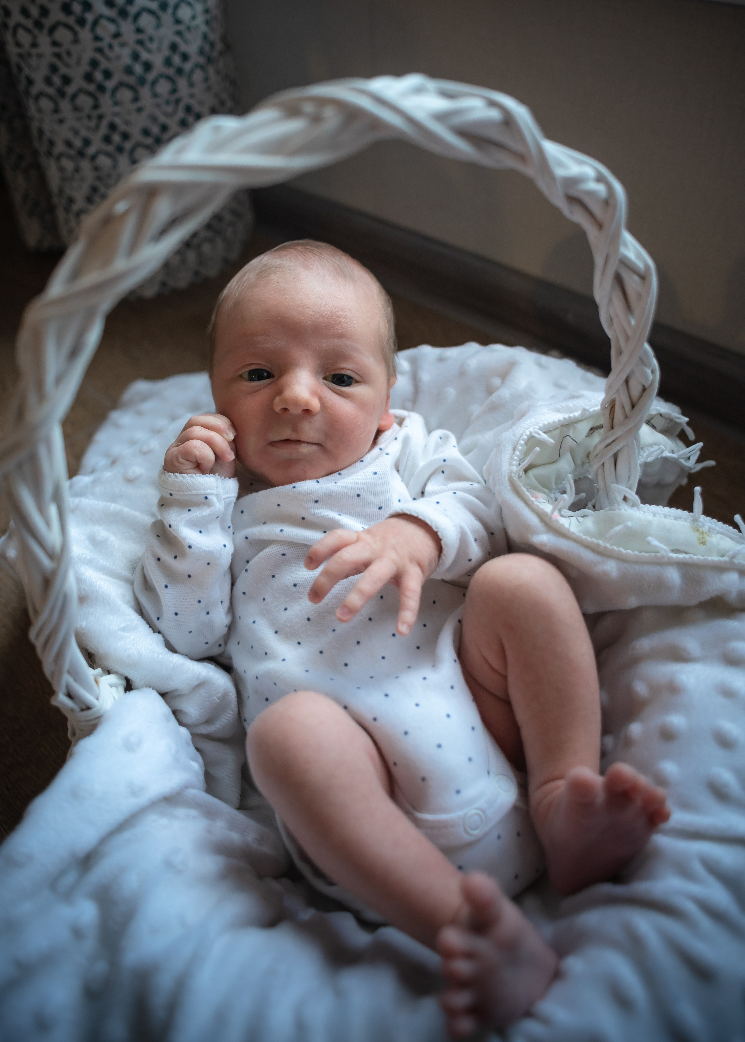 Семья и дети. Семейный и детский фотограф в Воронеже София Минакова