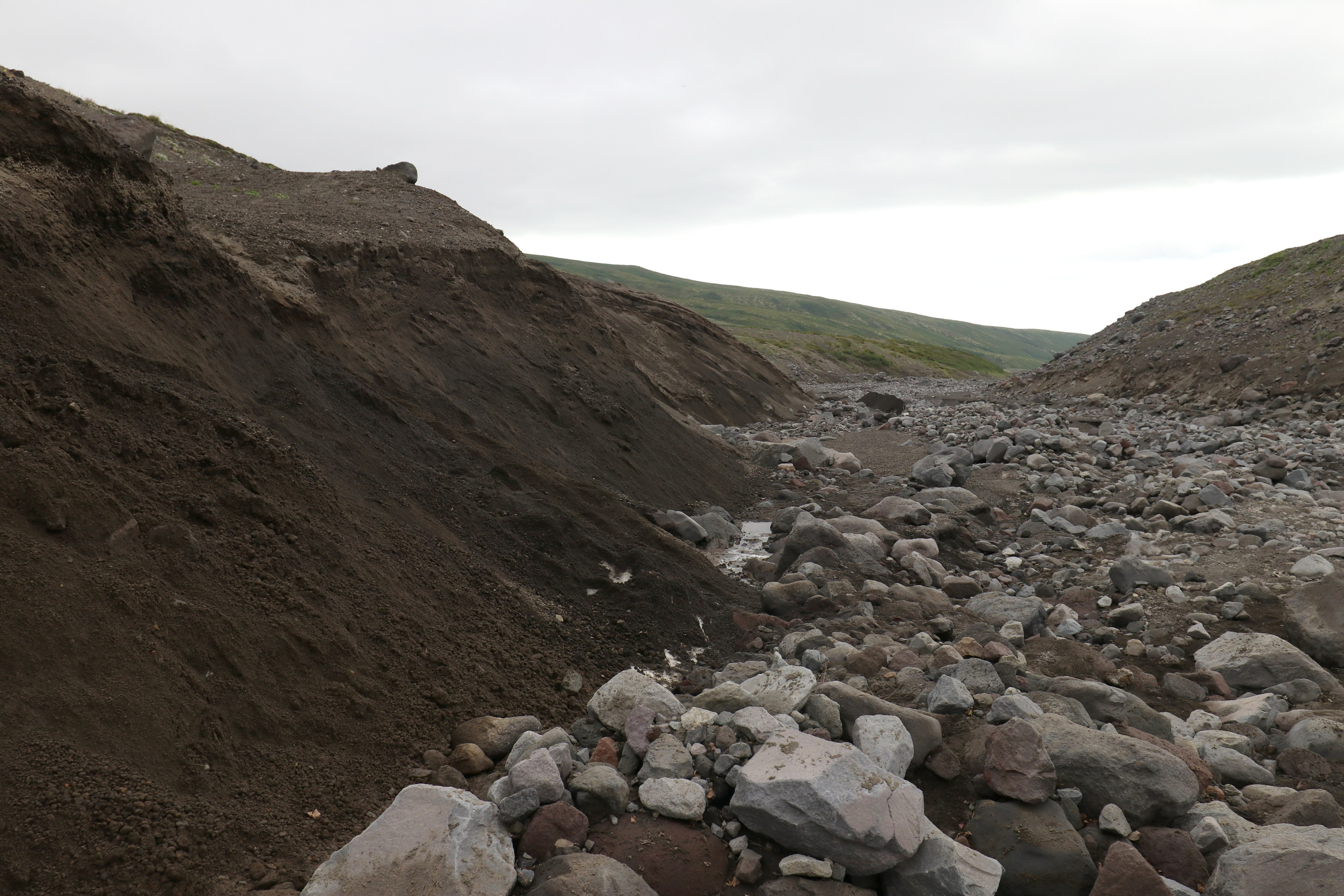 Камчатка и о. Парамушир. Июль 2024. Путешественник-фотограф из Санкт-Петербурга Татьяна Свистулина