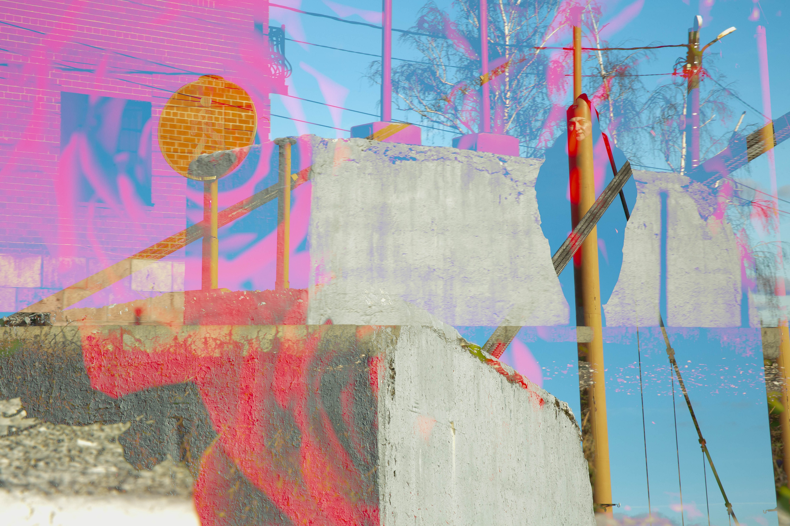 СТРОФА 2 — ЦВЕТОВЕДЕНИЕ. Photographer Anna Arzamastseva