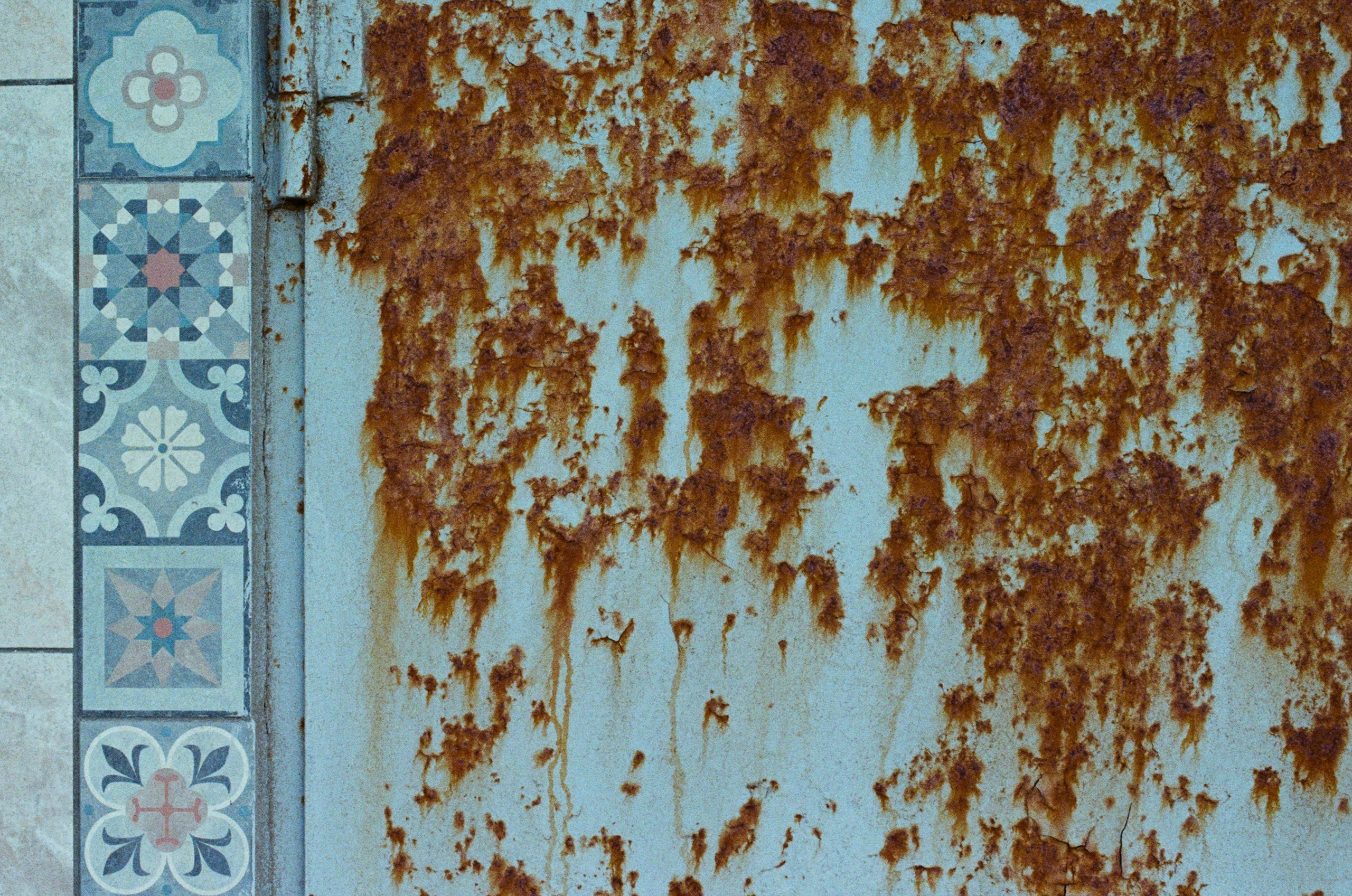 Dig it // ukraine, crimea XII. EVER EXPOSED