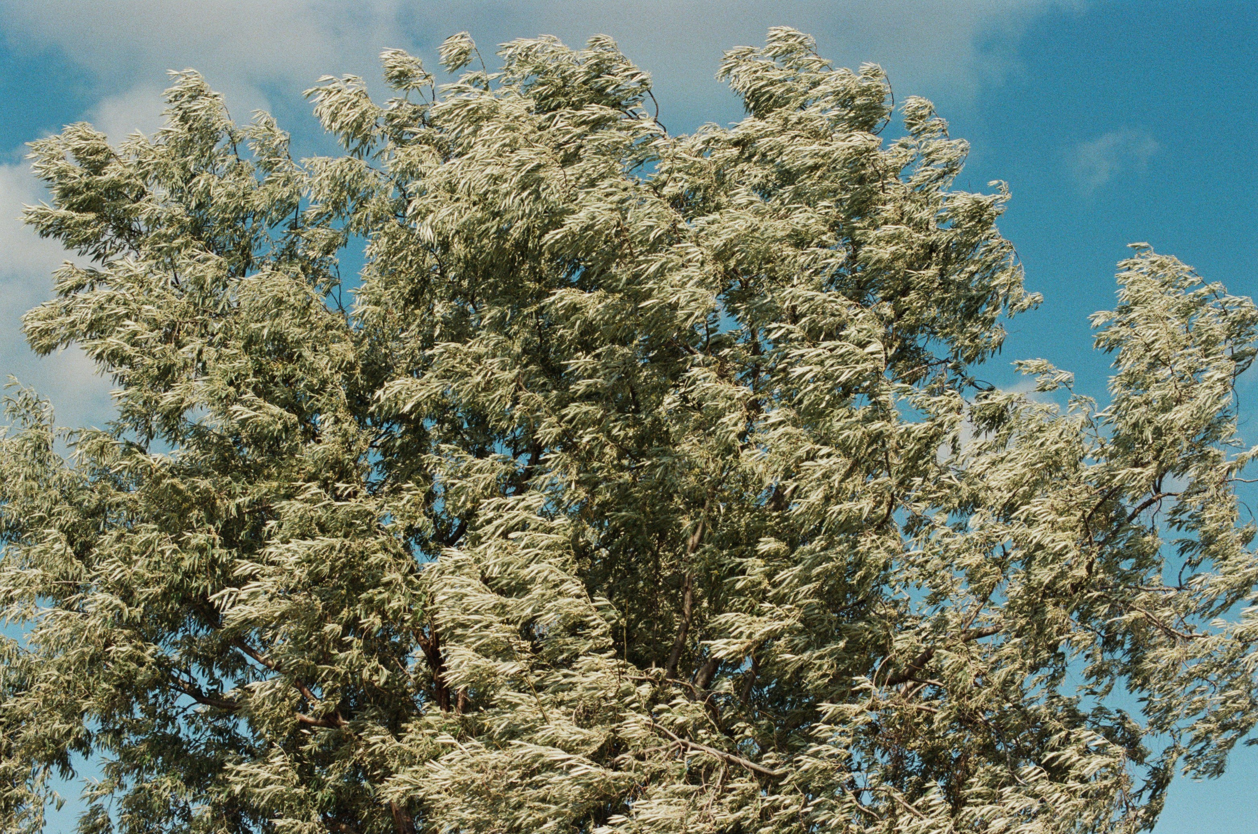 This time // ukraine, crimea V. EVER EXPOSED