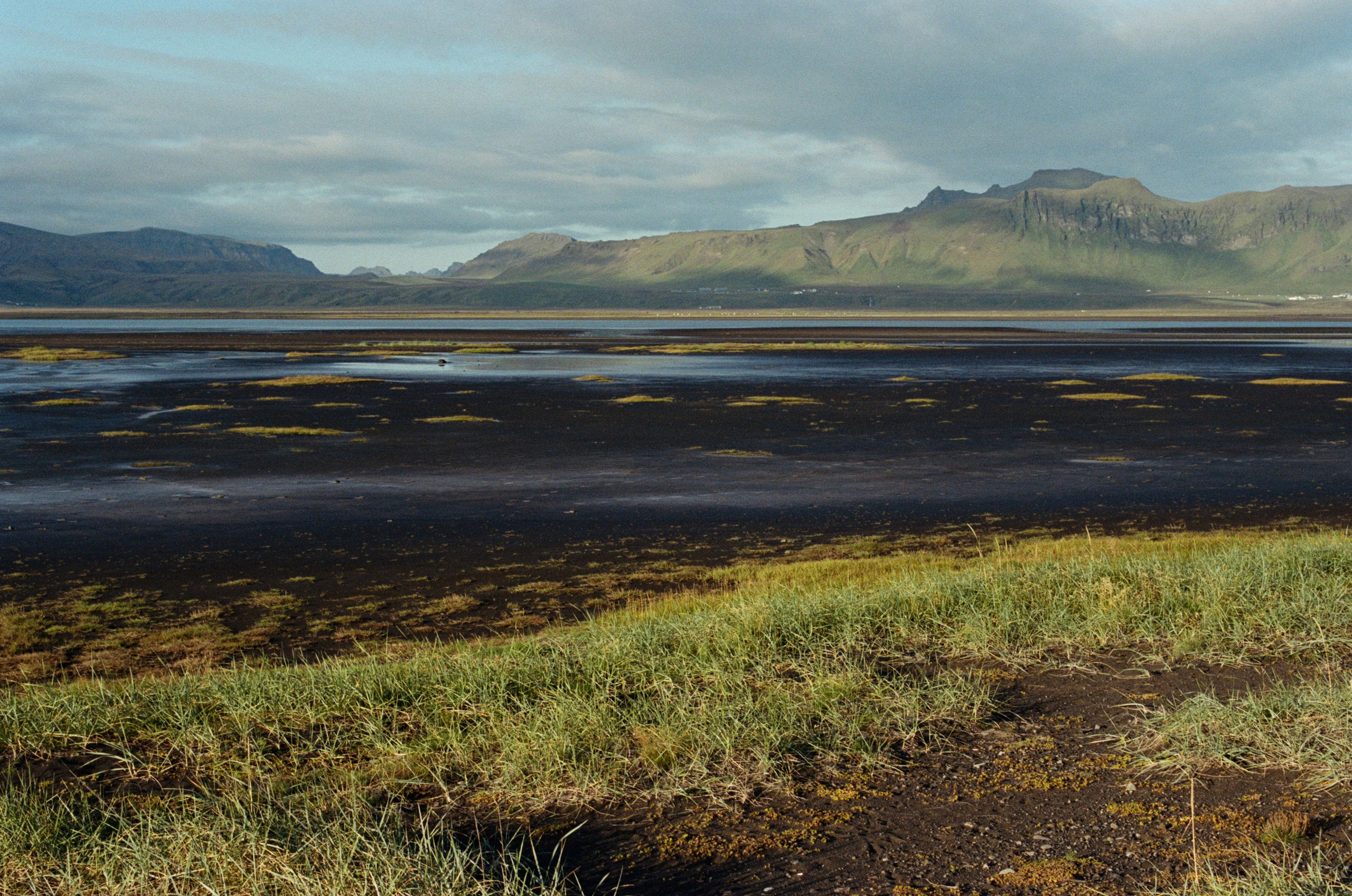 Vor i vaglaskogi // iceland, dyrhólaey. EVER EXPOSED